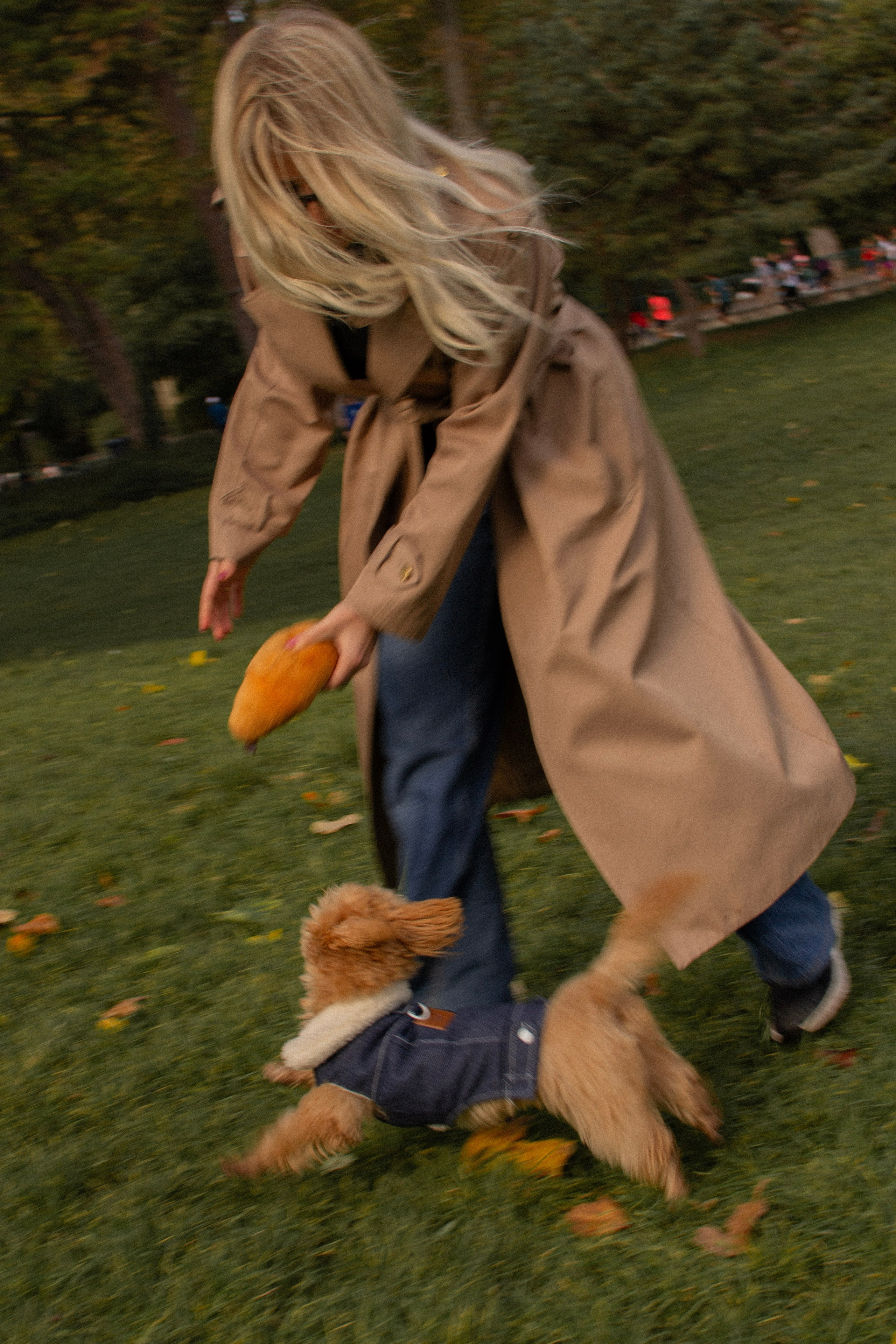 Barney, Nastya et Kolya. Photographe animalier à Paris Anna Pereira
