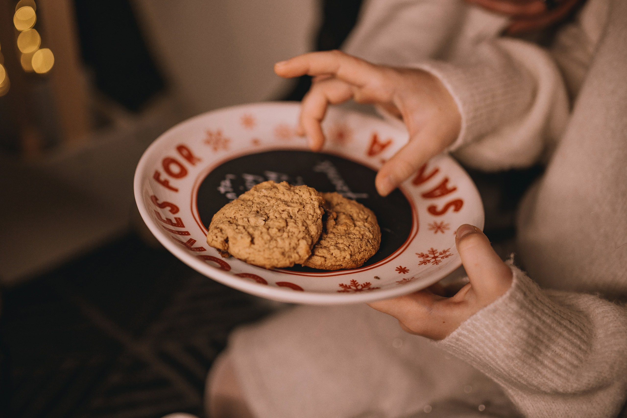 11.15.2025 Christmas Photoshoot. Wedding family event photographer in Chicago Nick Yushevich