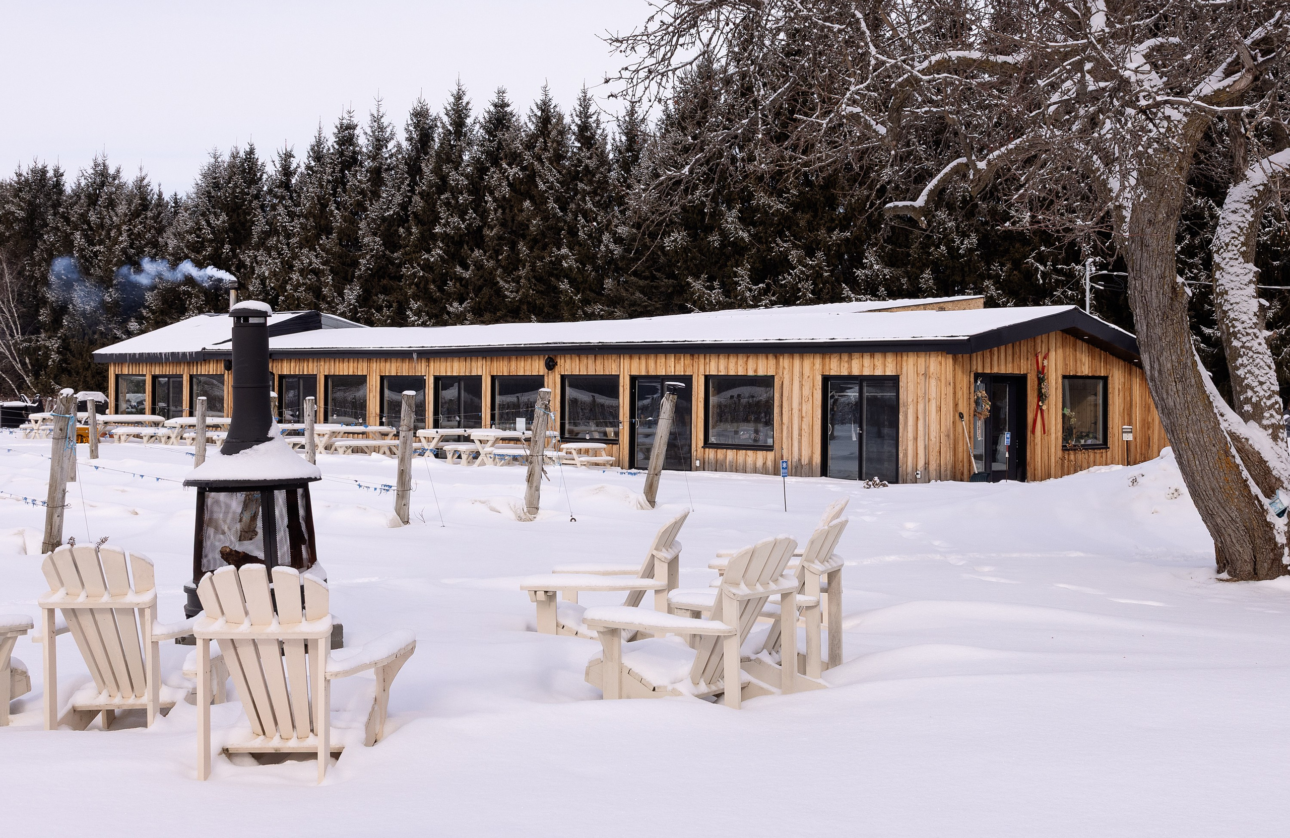 Vignoble et Domaine Beauchemin / Edition January 2025