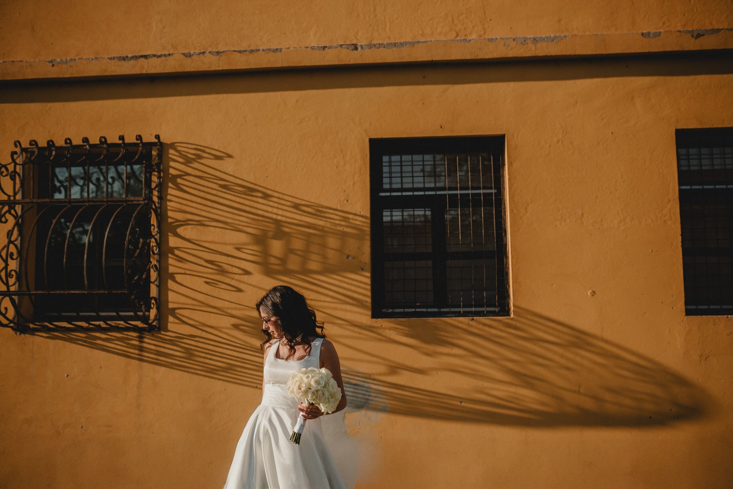 Portfolio. Wedding photographer based in Novi Sad, Marko Milivojevic