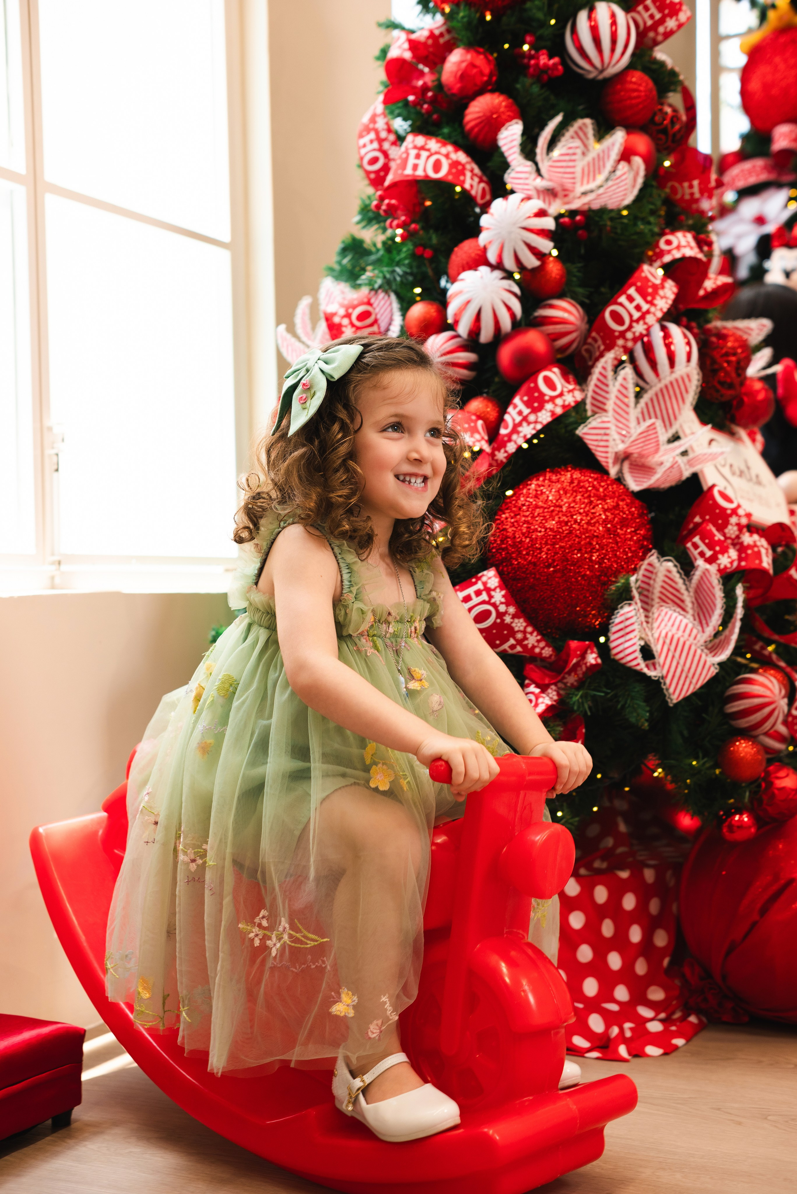 Natal Encantado. Fotografo de casamentos e famílias no Espirito Santo — Marllus Milanez