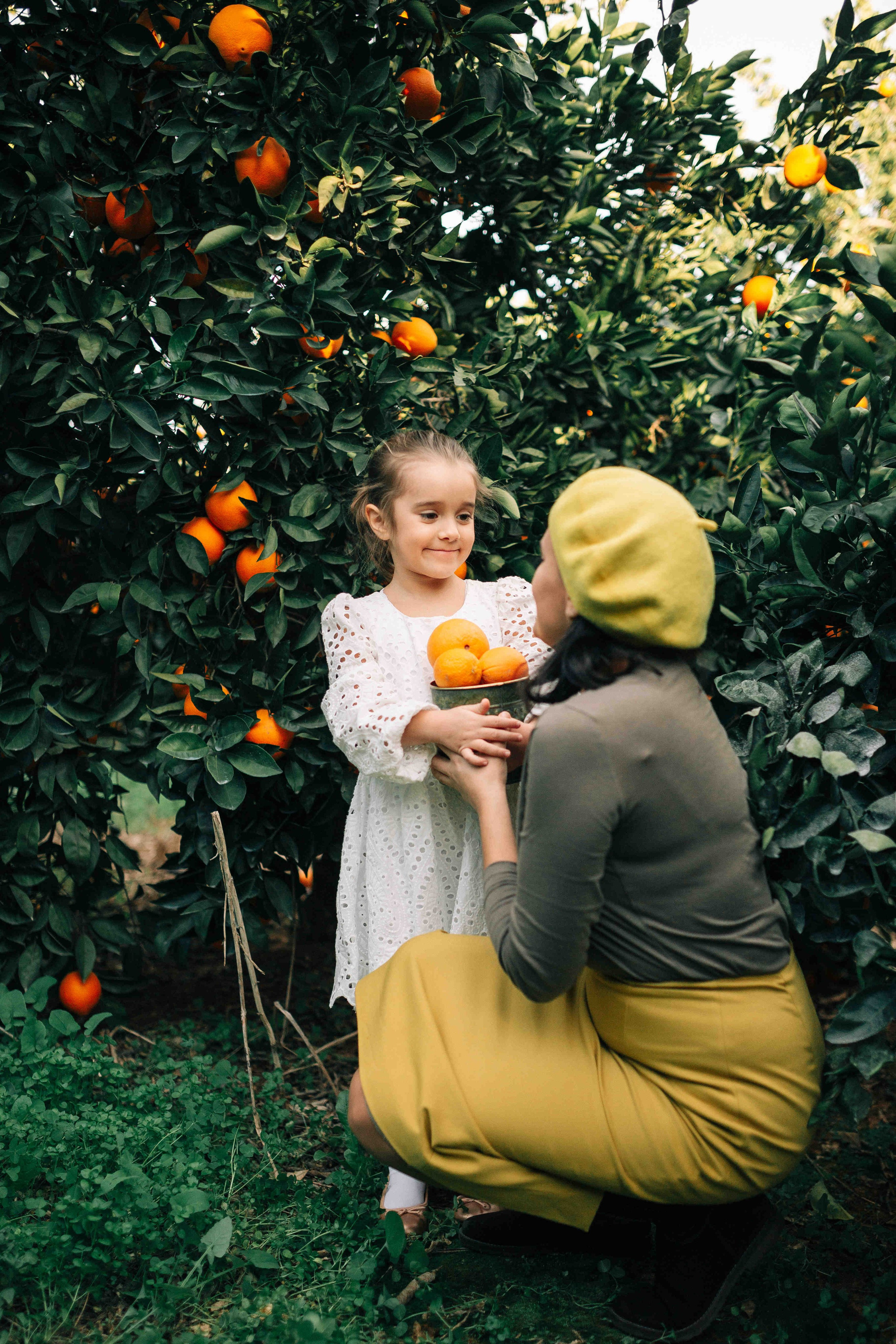 MANDARNINE GARDEN. Https://shi-photo.com/