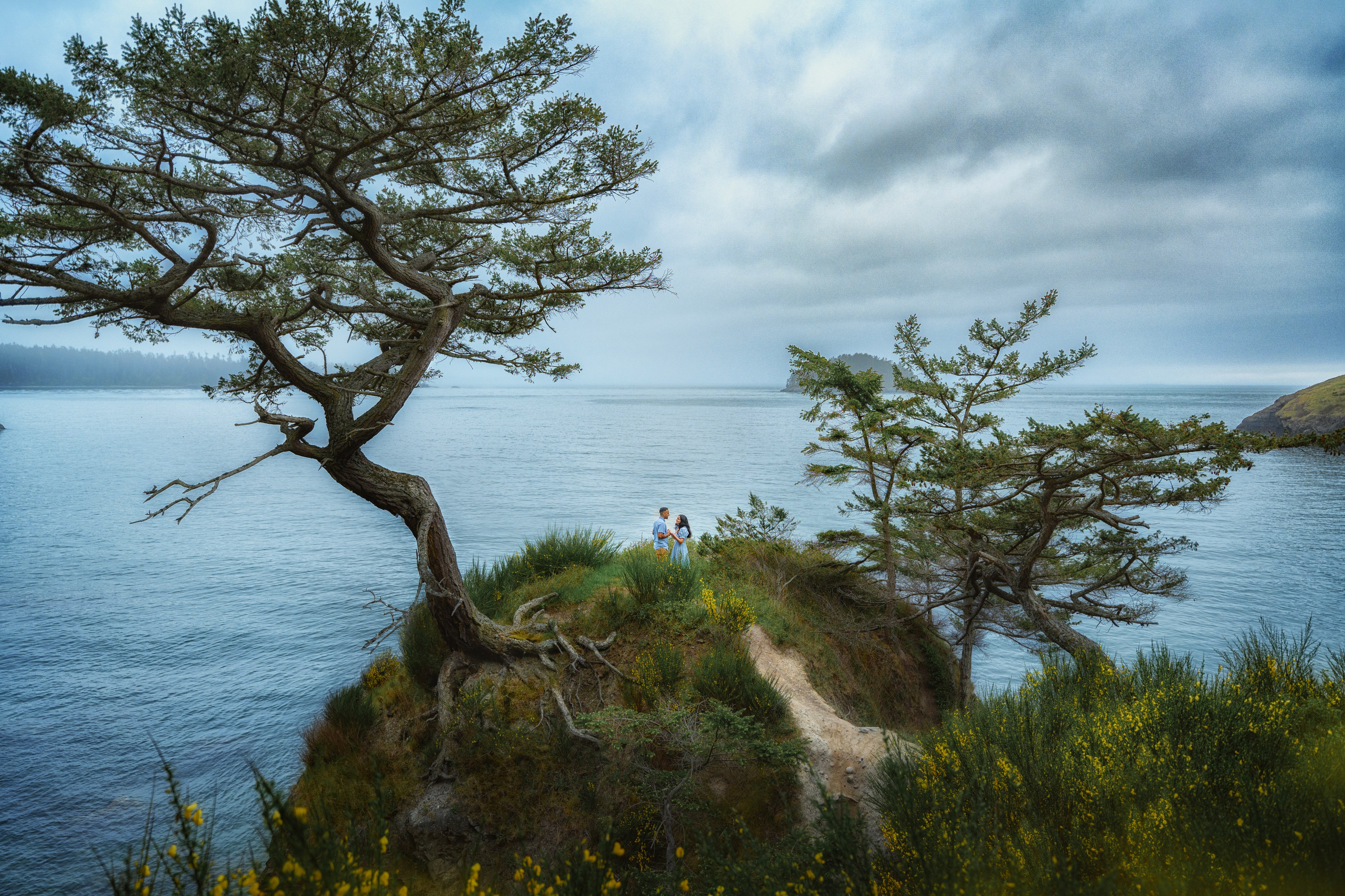 Yogi & Rudi. Wedding & family photography in Seattle area. Helen Michelle photographer