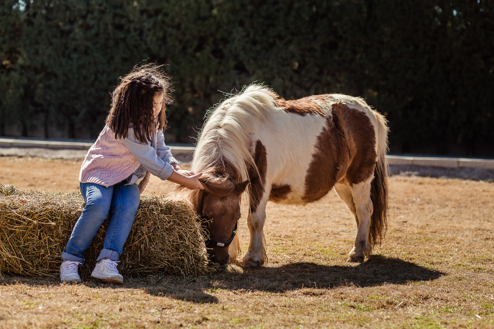 Wonderful day at the farm in Urla