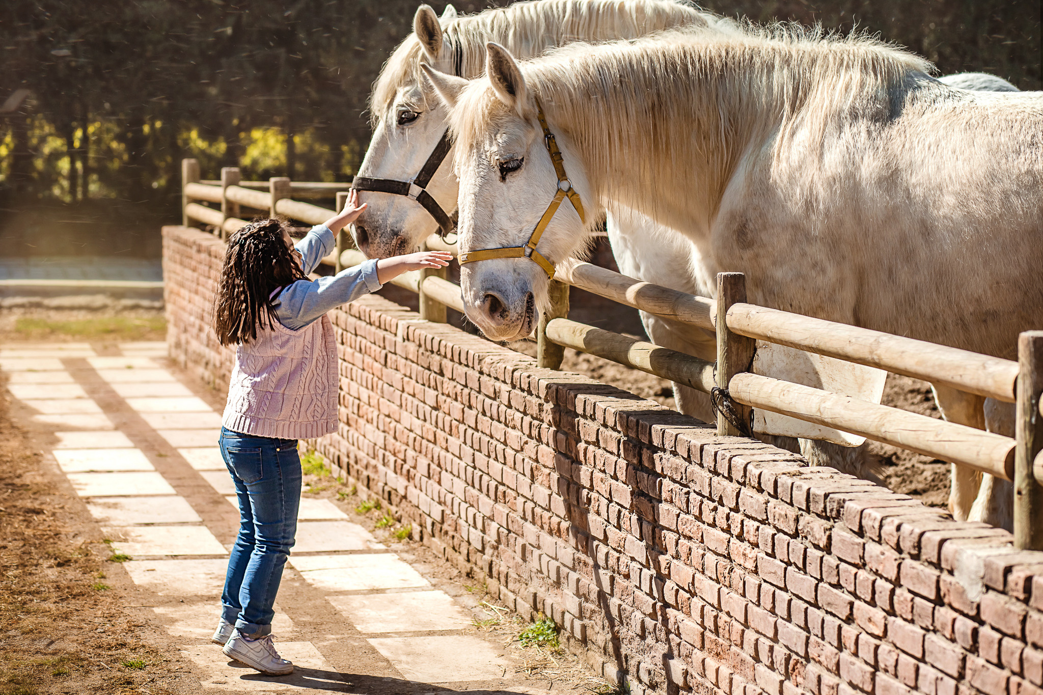 Wonderful day at the farm in Urla