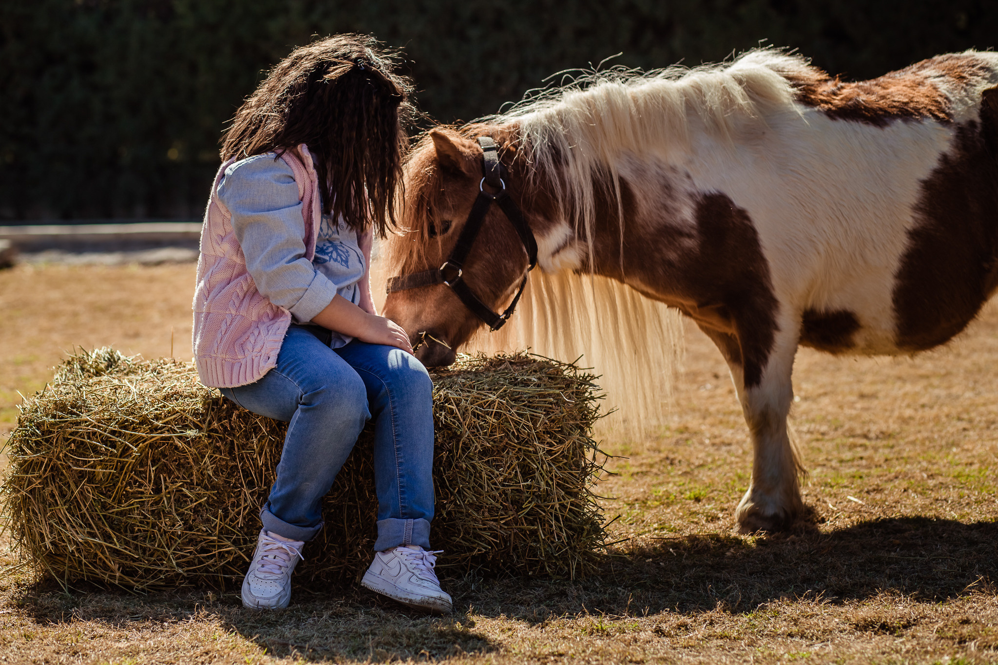 Wonderful day at the farm in Urla