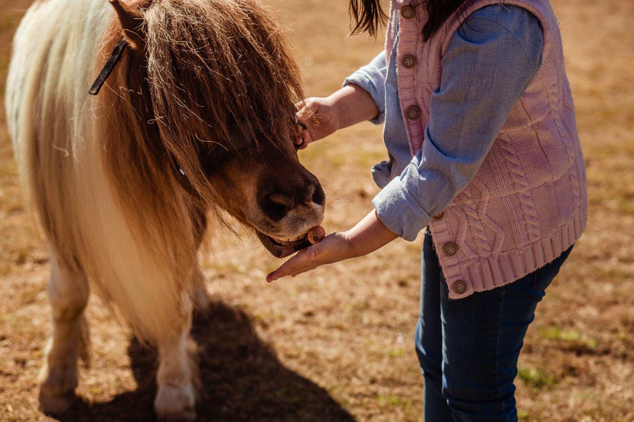 Wonderful day at the farm in Urla
