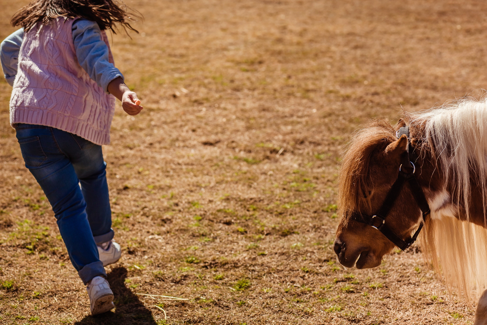 Wonderful day at the farm in Urla