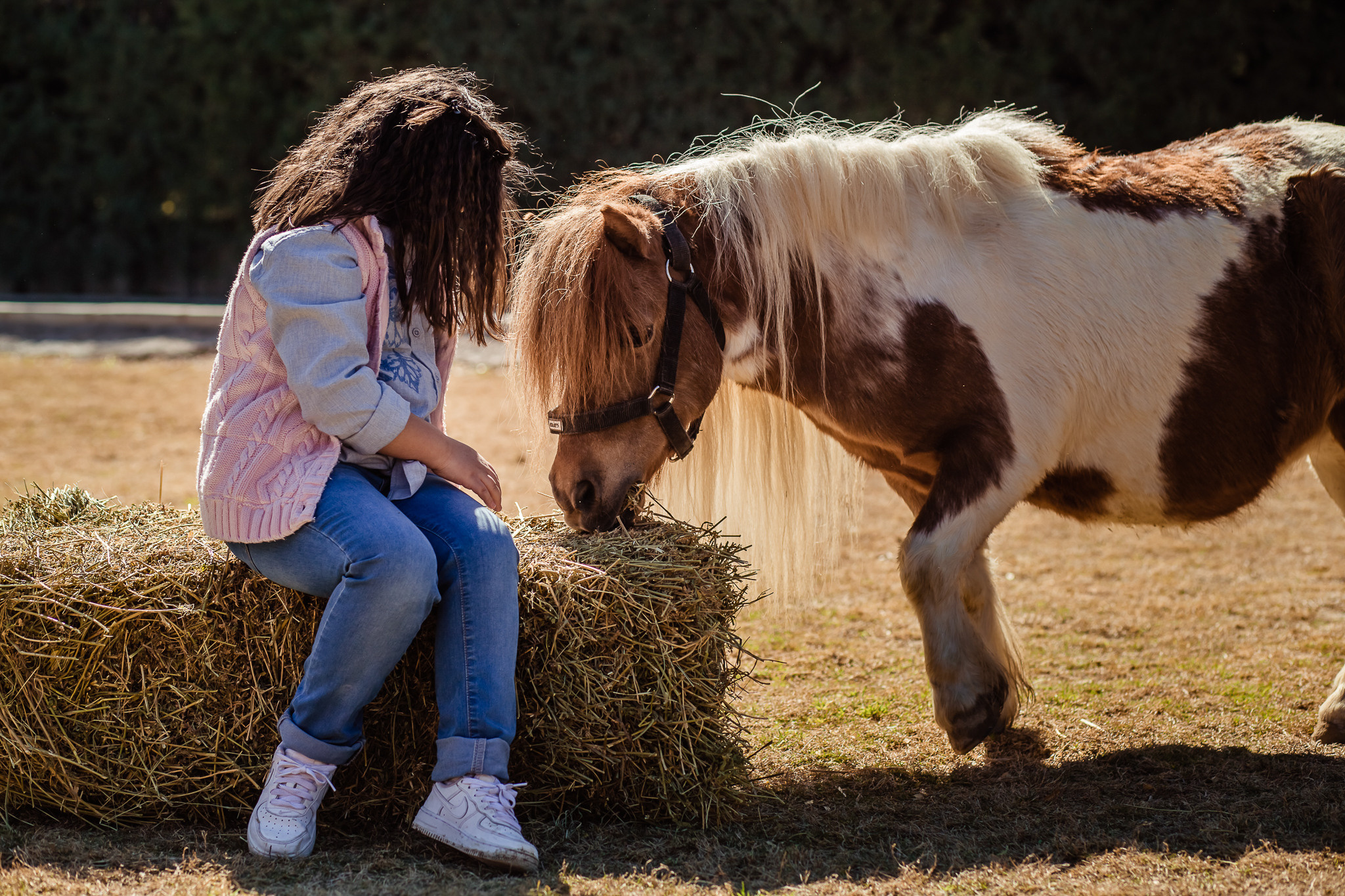Wonderful day at the farm in Urla