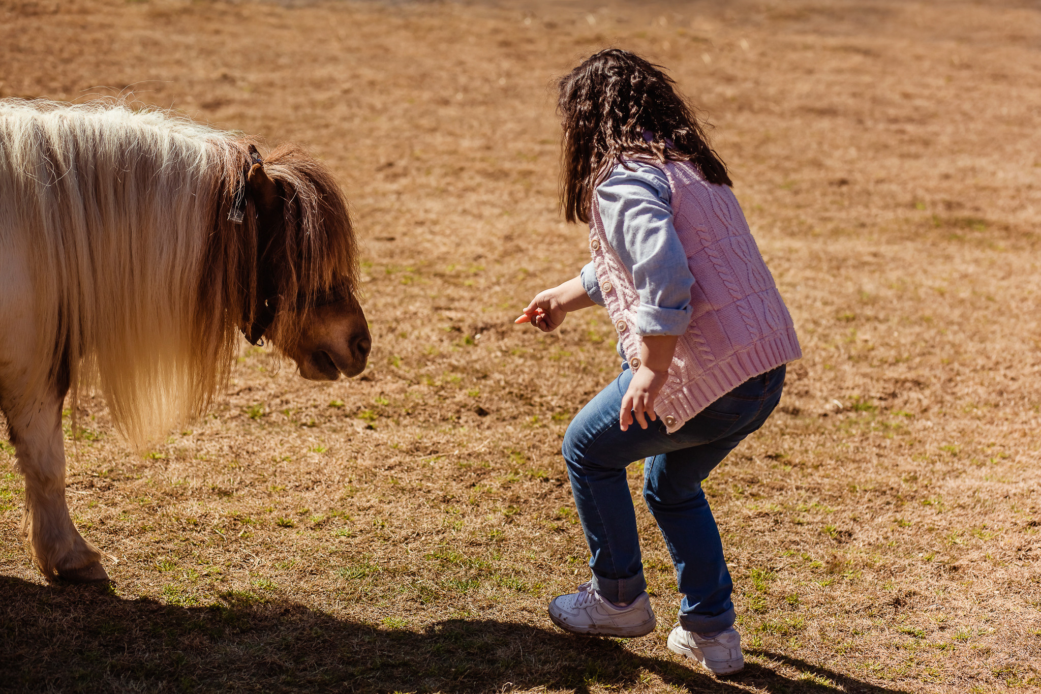 Wonderful day at the farm in Urla