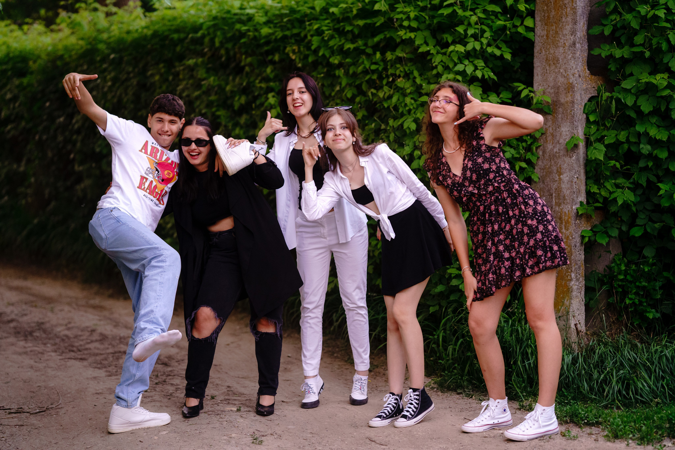 Distracție Gratuit. Trendy Albums