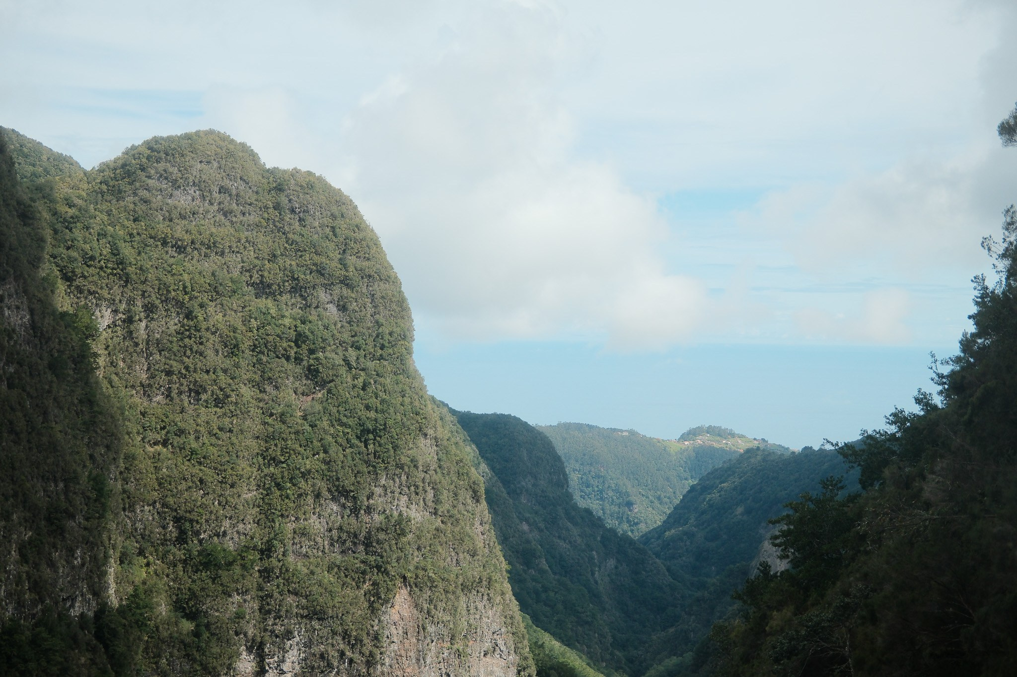 Madeira 2025. Cal Takes Photos