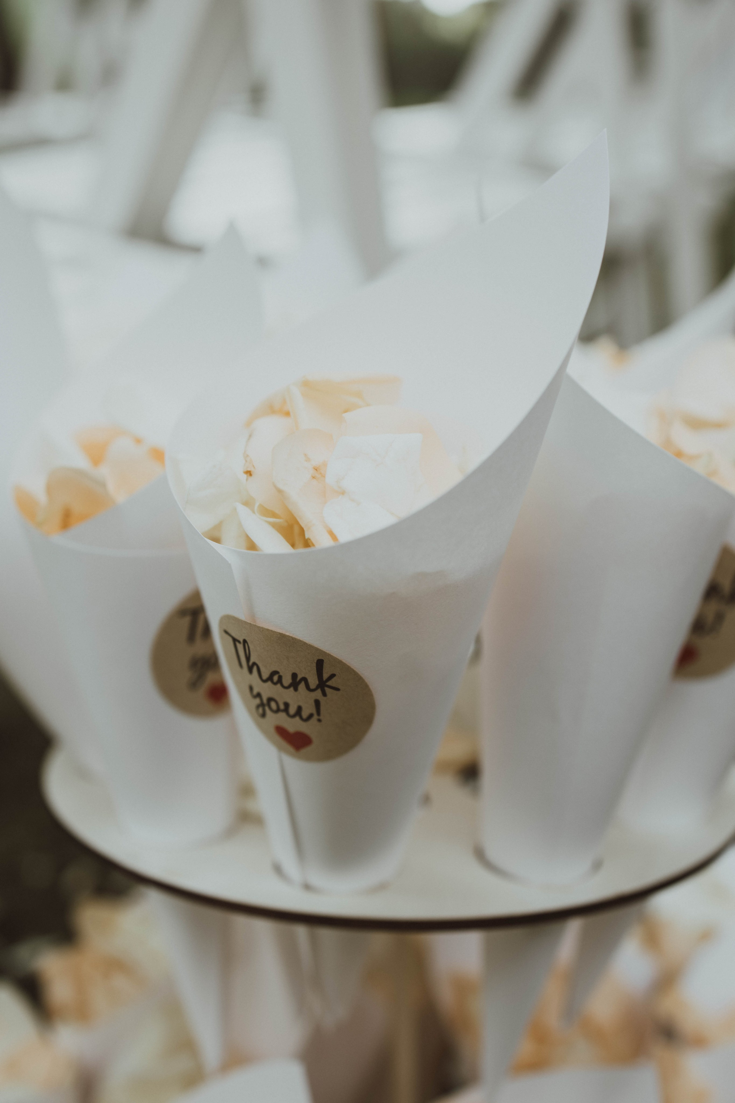 JULIA DAWID. Fotograf Mykhalchuk Inna Kraków