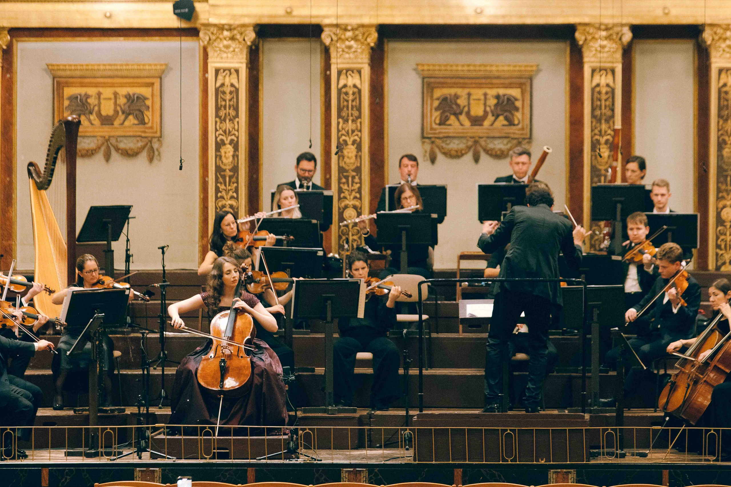 MUSIKVEREIN (VIENNA). Wedding&Event photographer Ismail Rzayev in Baku