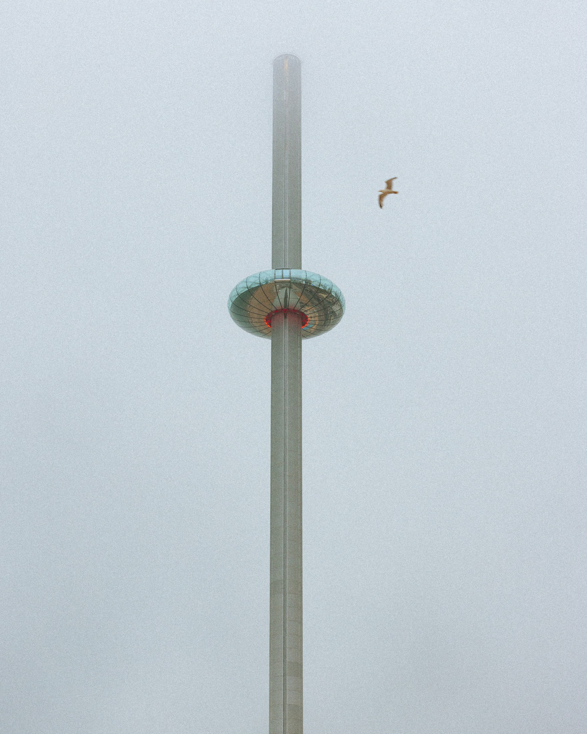 A photo of Brighton Eye during a foggy day with a bird flying by 