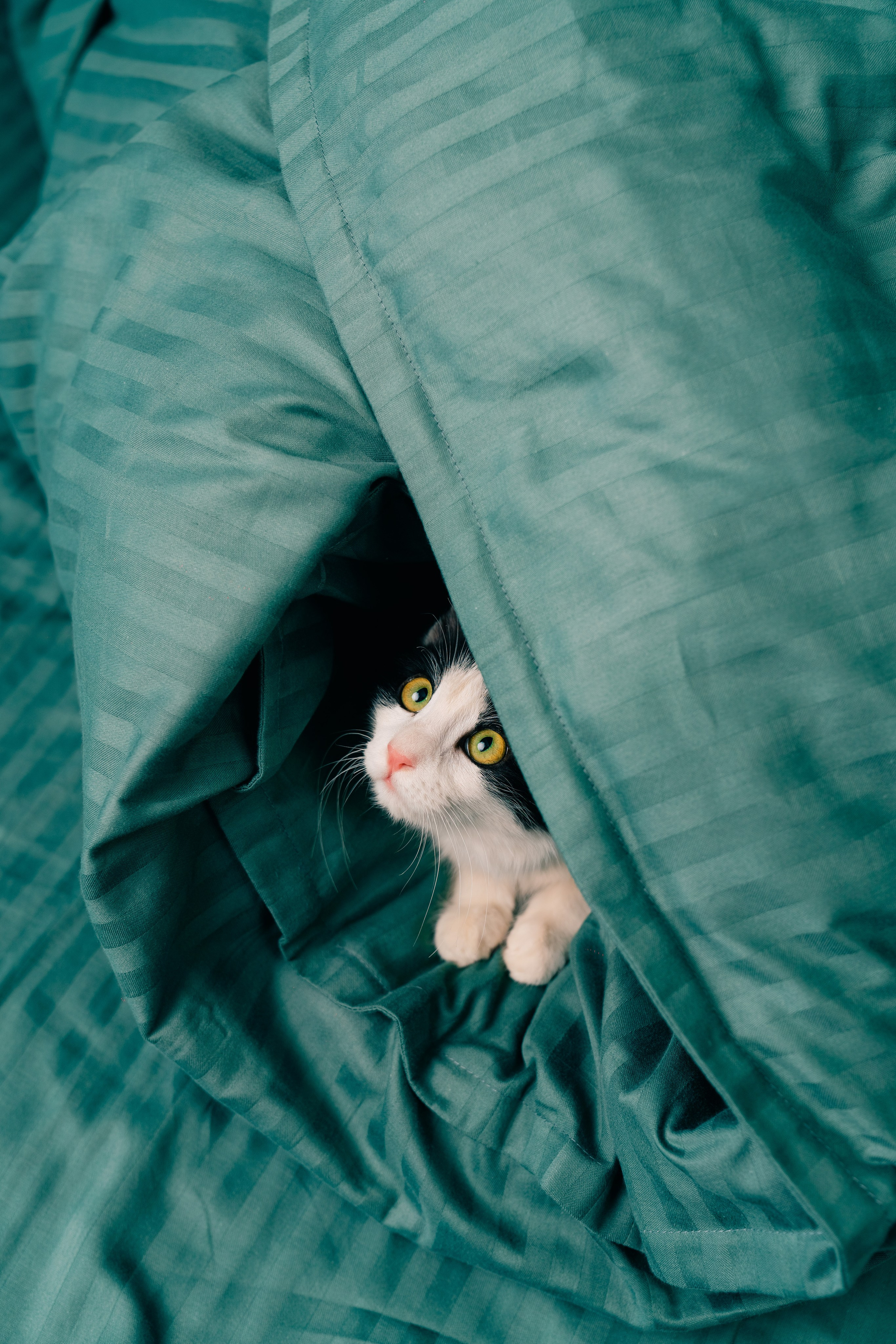 Коммерческая съёмка для текстильной фабрики. Фотограф в Узбекистане и Самарканде Джасур Марупов