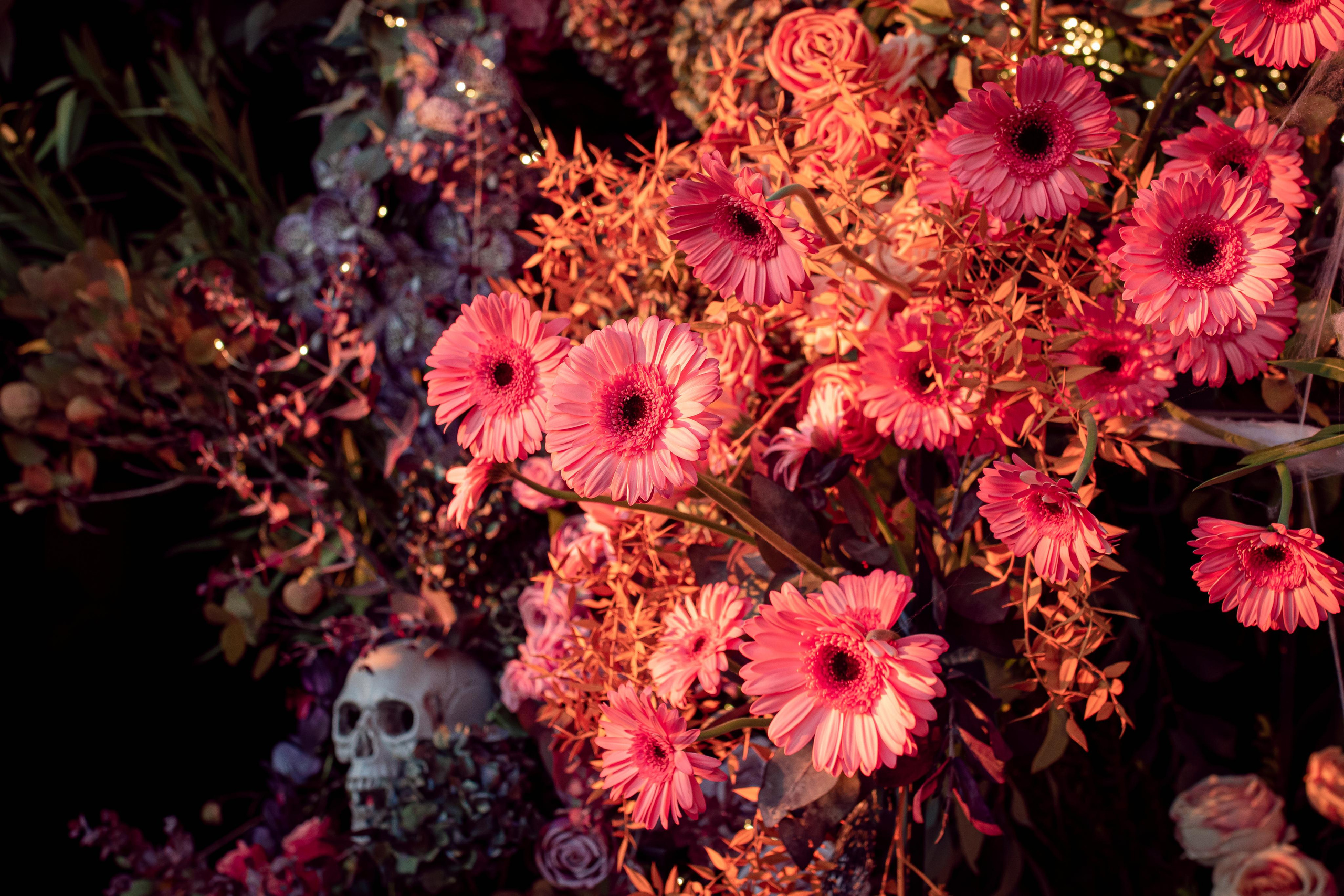 Halloween 2022. Family Photographer in Greece