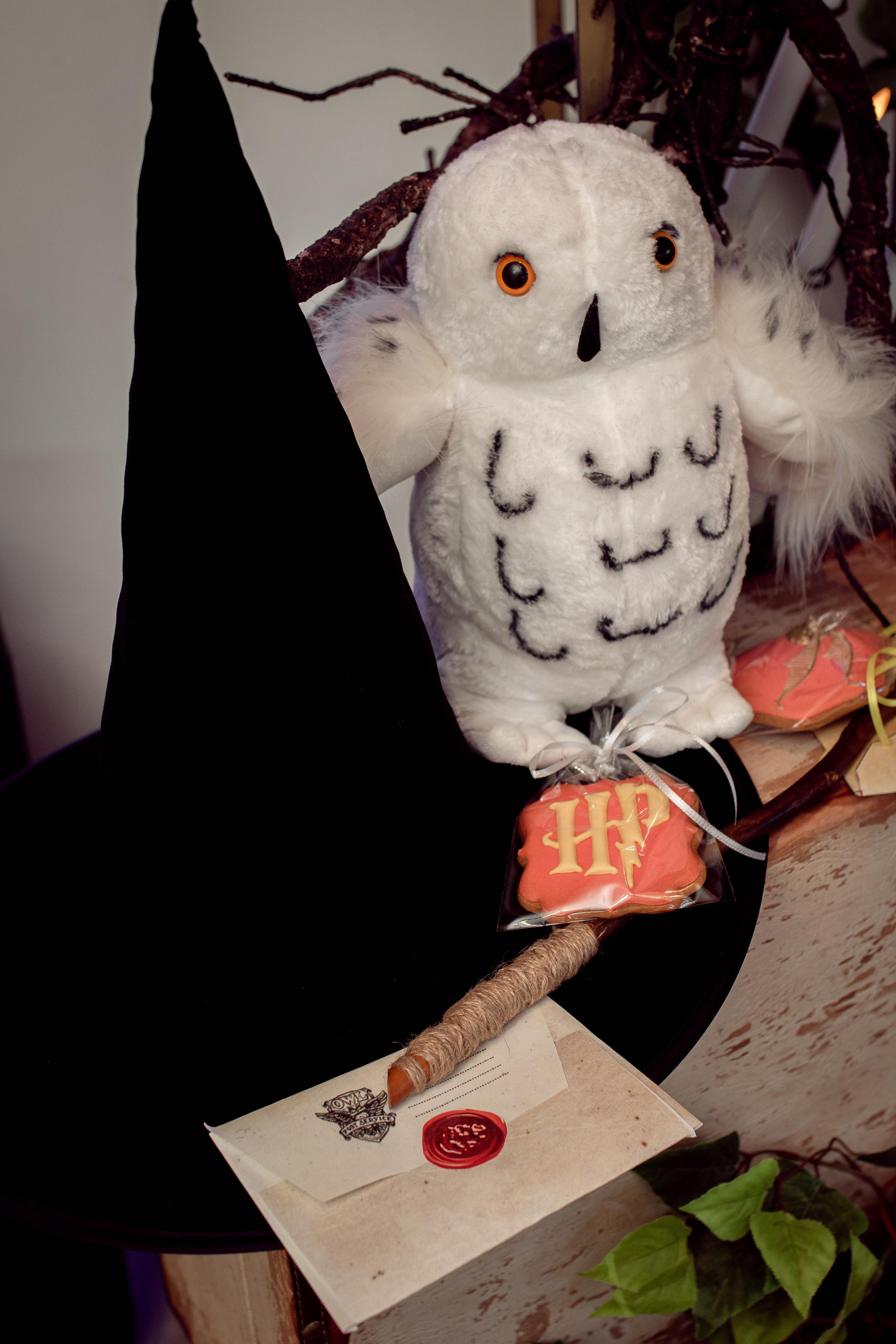 Harry Potter Birthday Party. Family Photographer in Greece