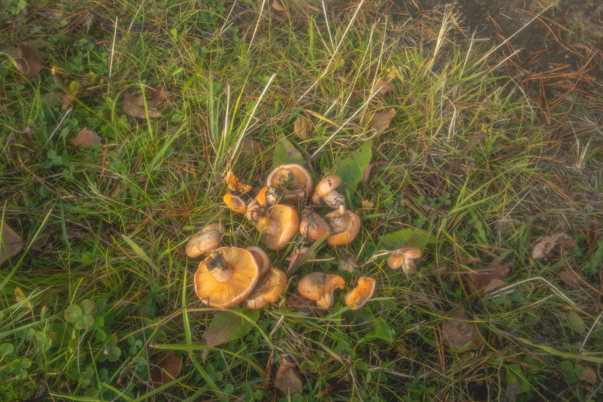 Морозово.2023. «Фотохроники»