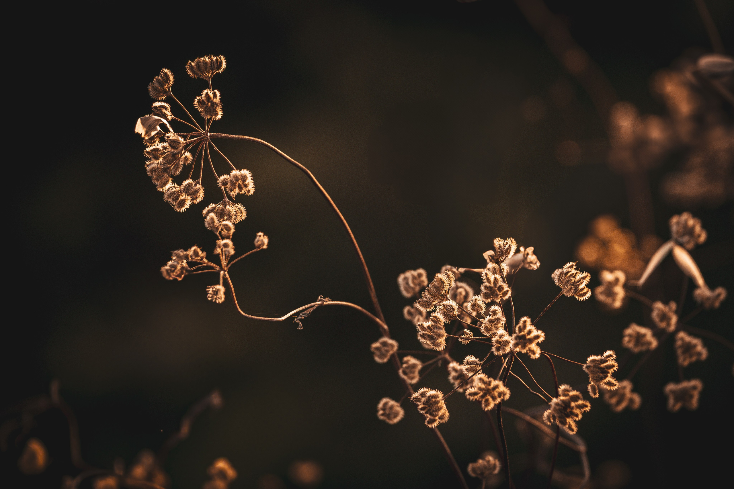 Fotografia de Natureza – Portfólio | Paulo Marques Photography. Paulo Marques Photography