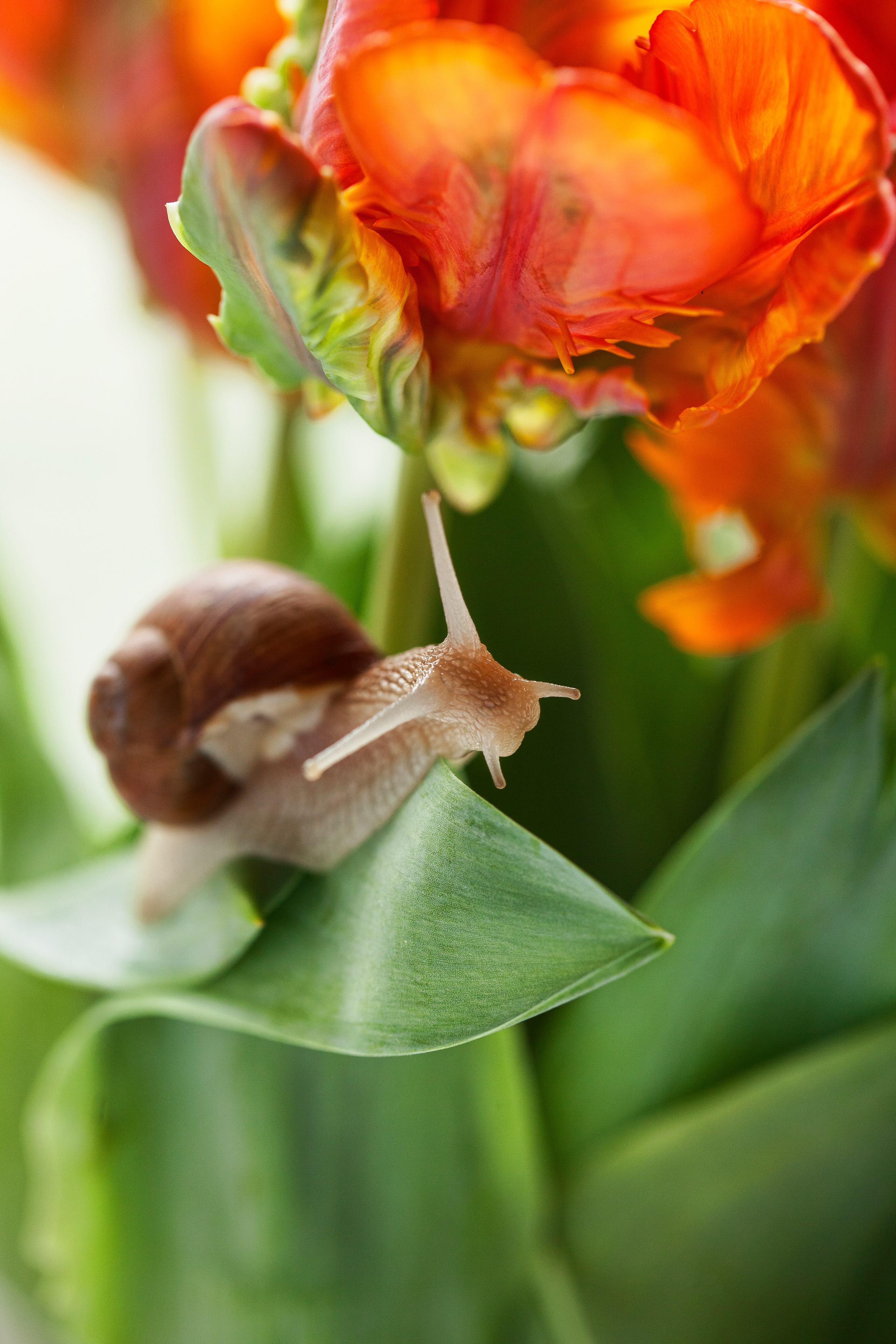 LIFESTYLE. ENYA RODAK PHOTOGRAPHY