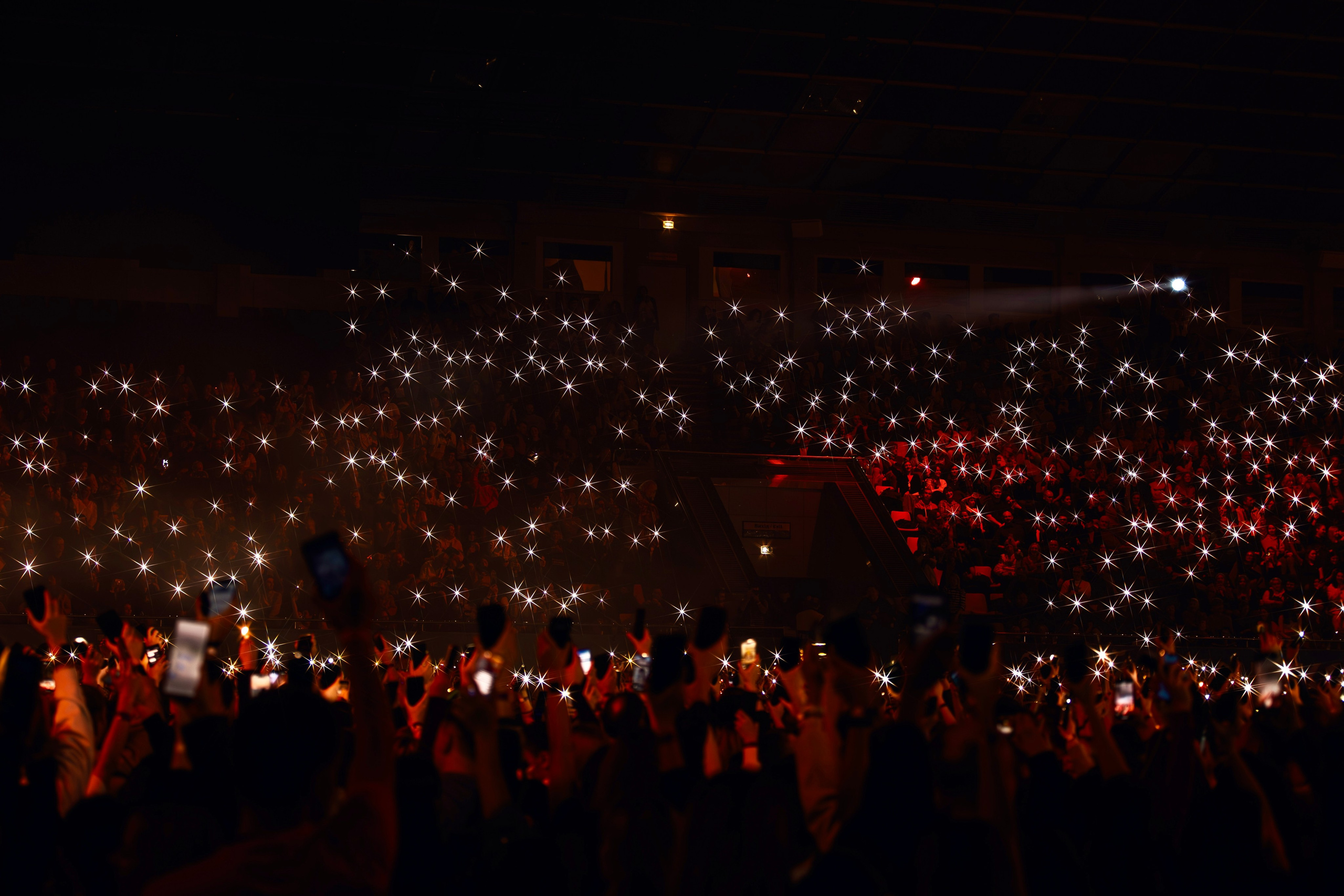 Океан Ельзи. Репортажний фотограф/анімаліст КИЇВ