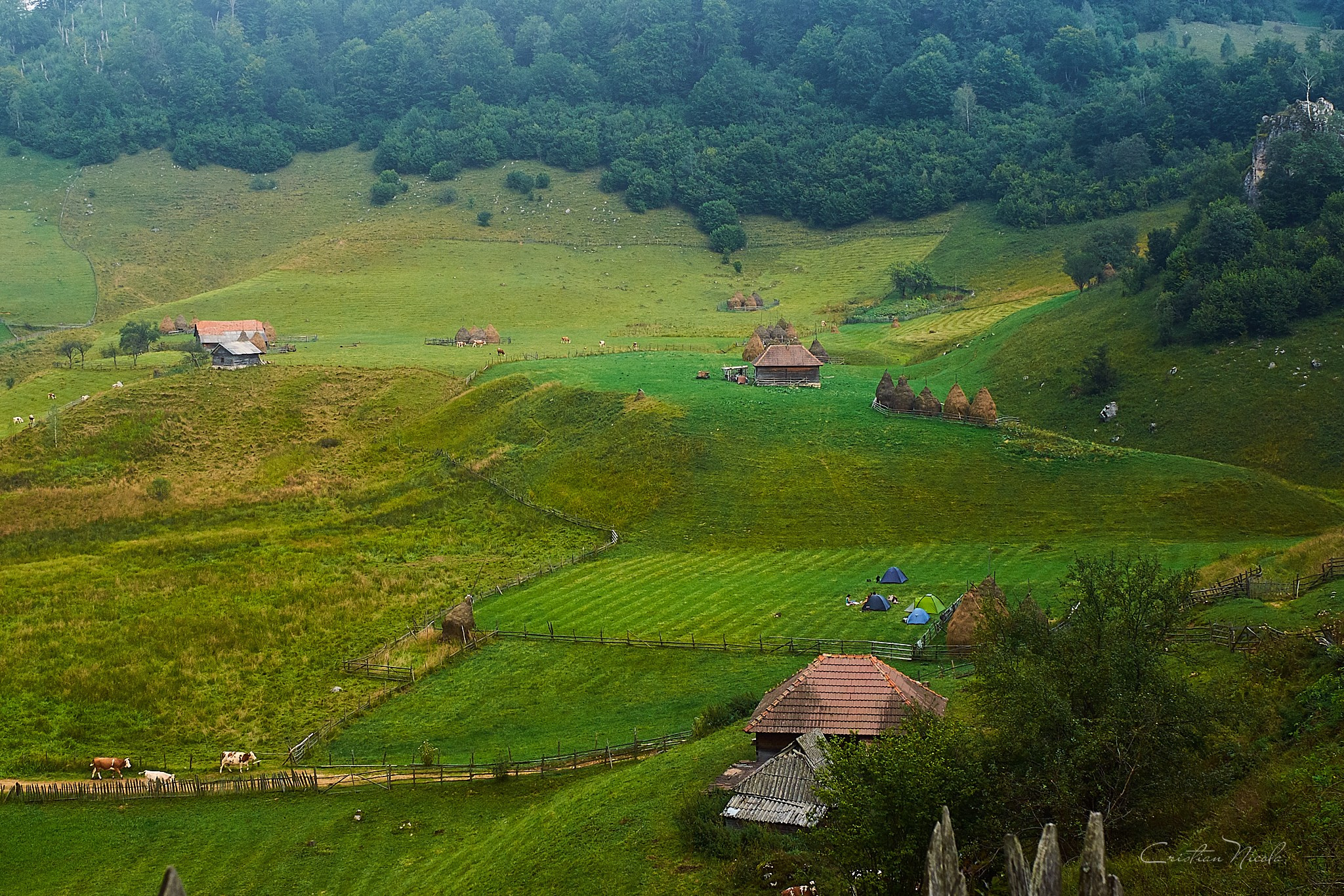 Fundătura Ponorului, jud. Humedoara. Pagina principală