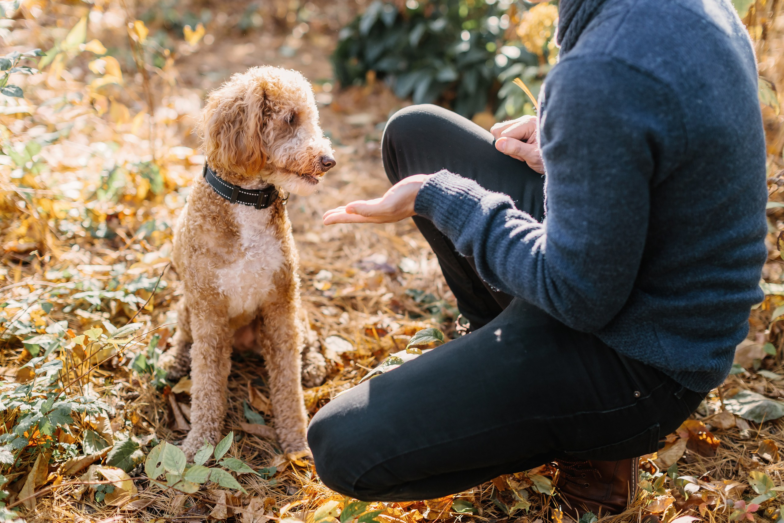 11.02.2024 Love Story. Wedding family event photographer in Chicago Nick Yushevich