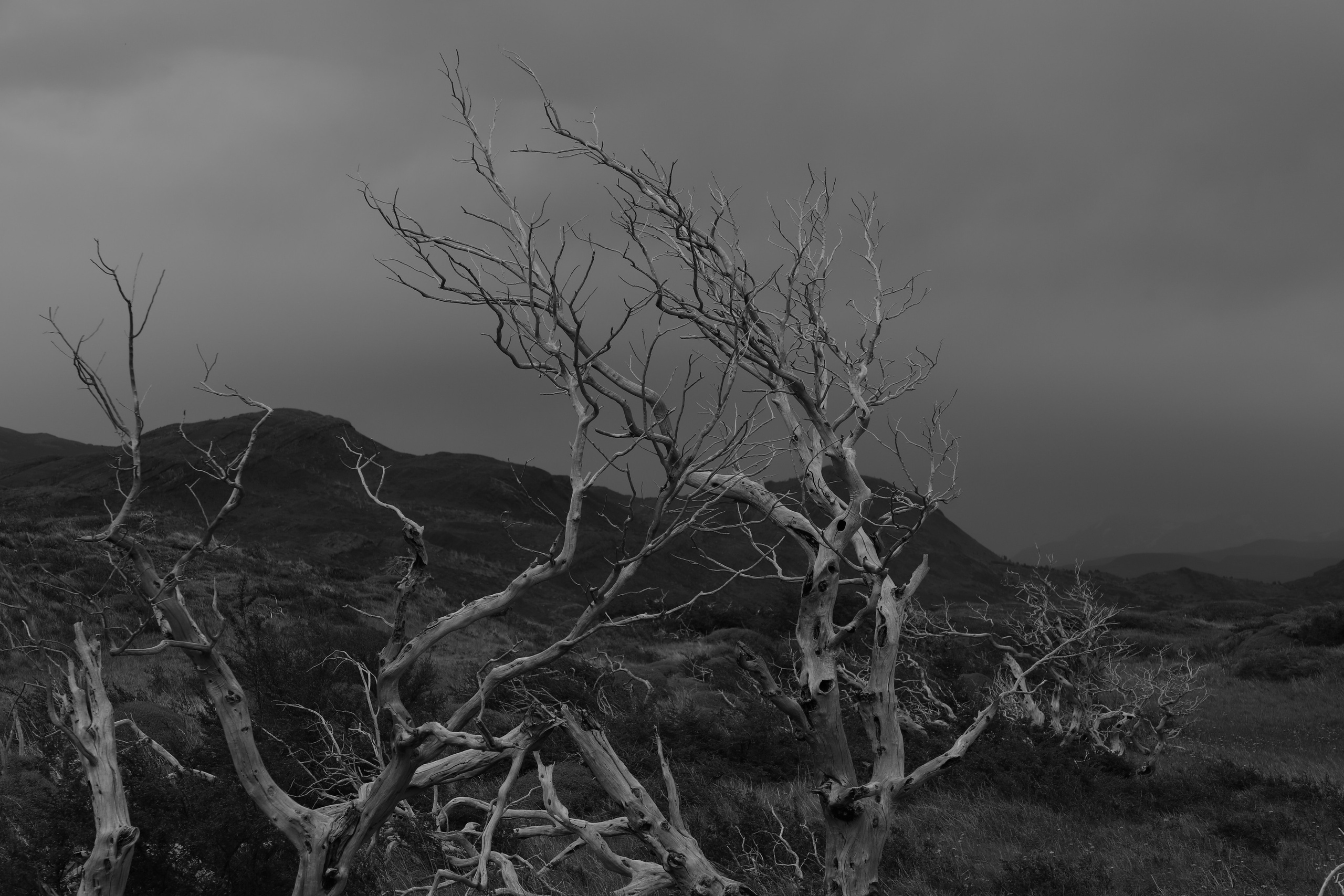 PATAGONIE. Photographe Karen Tatevosian