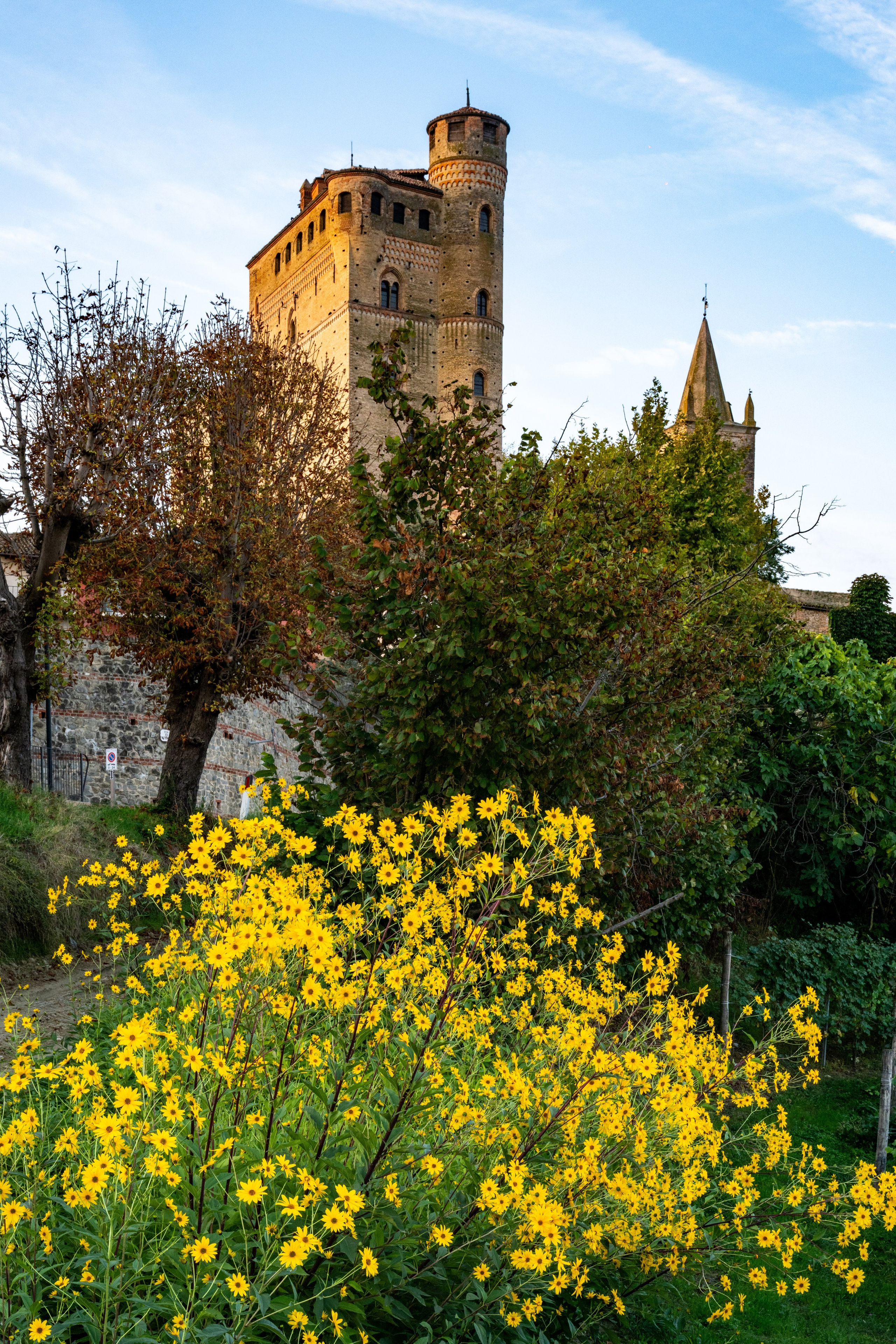Cantine Boasso Serralunga. “Gianmaria Coscia fotografo per passione”