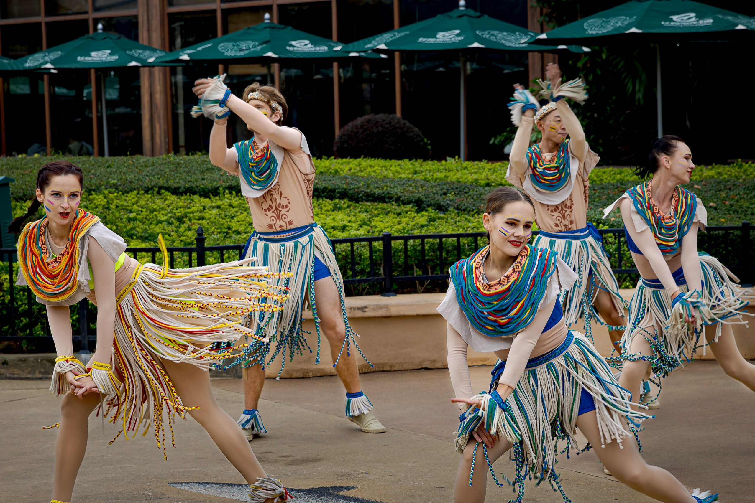 Африка вокруг нас