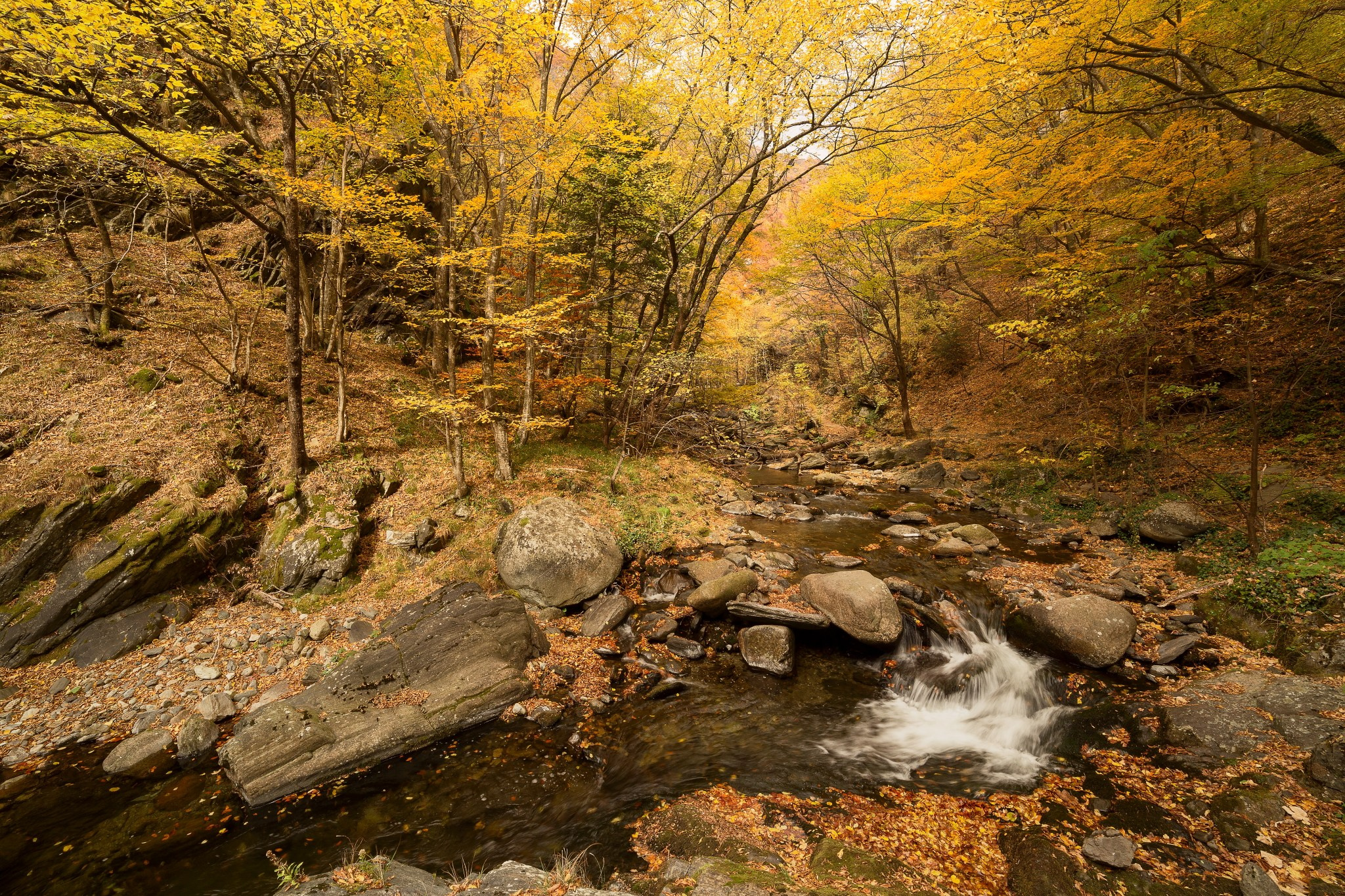 Планини. Александър Сандев - website