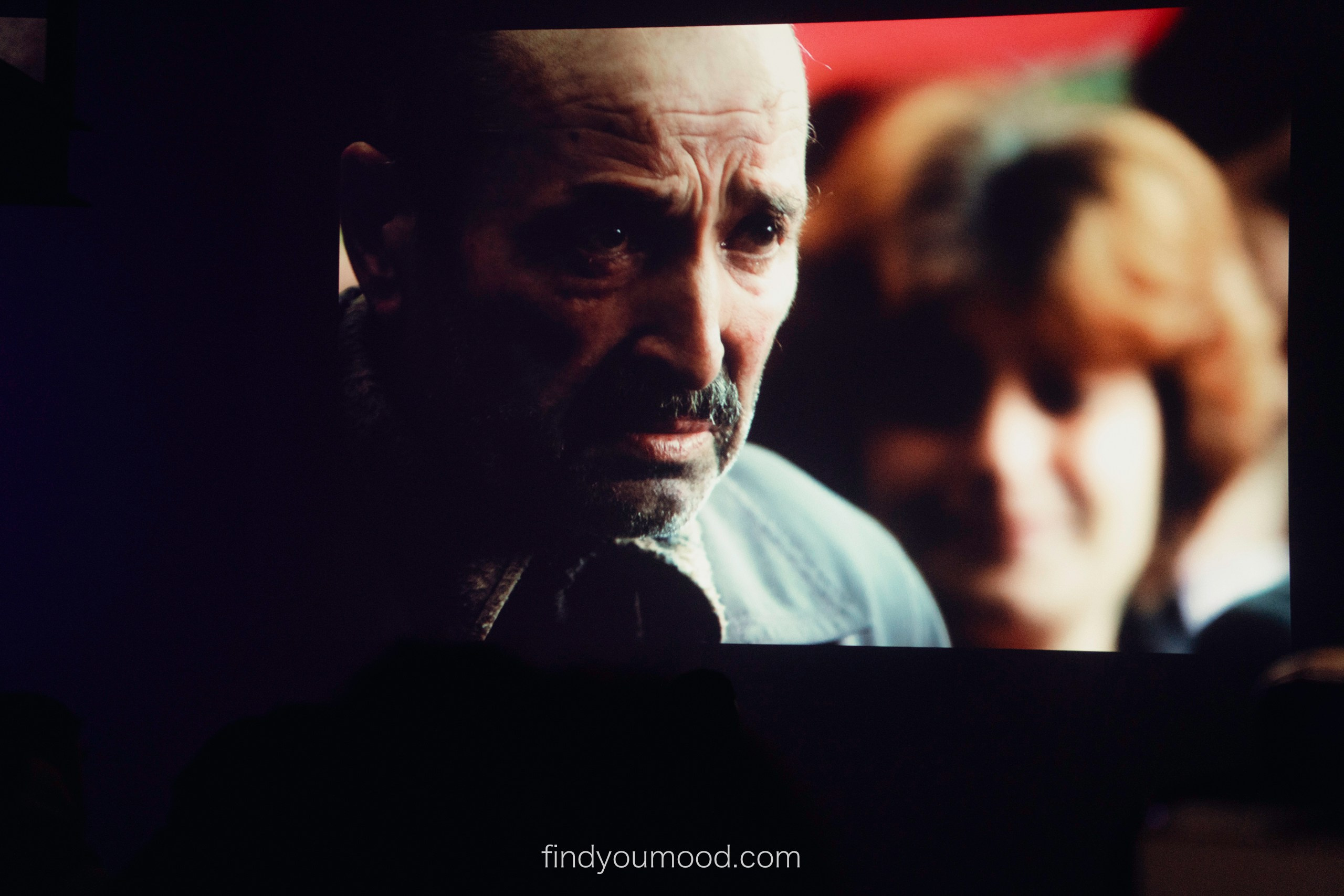 TOHUBOHU. Photo and video shooting