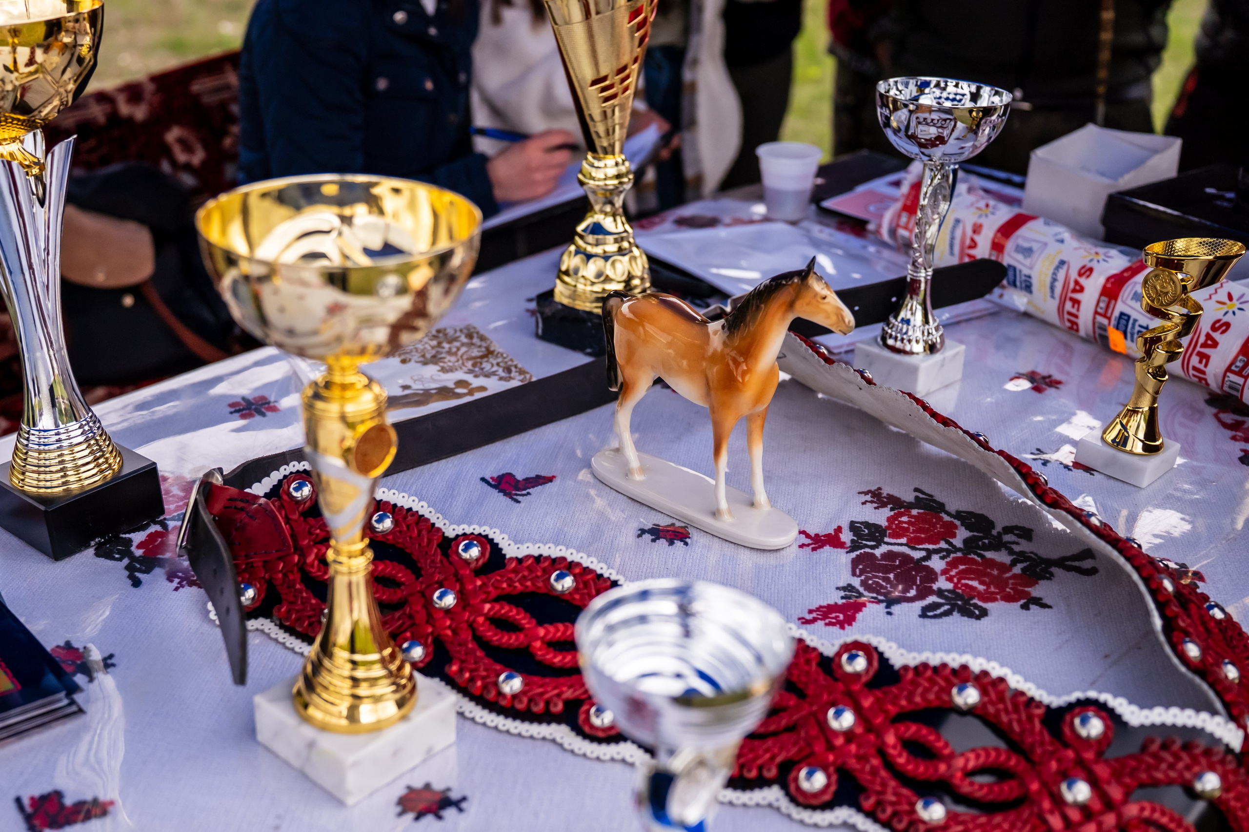 Concurs Ecvestru Vărbilău ediția a 4-a. Mihai Alexandra Events