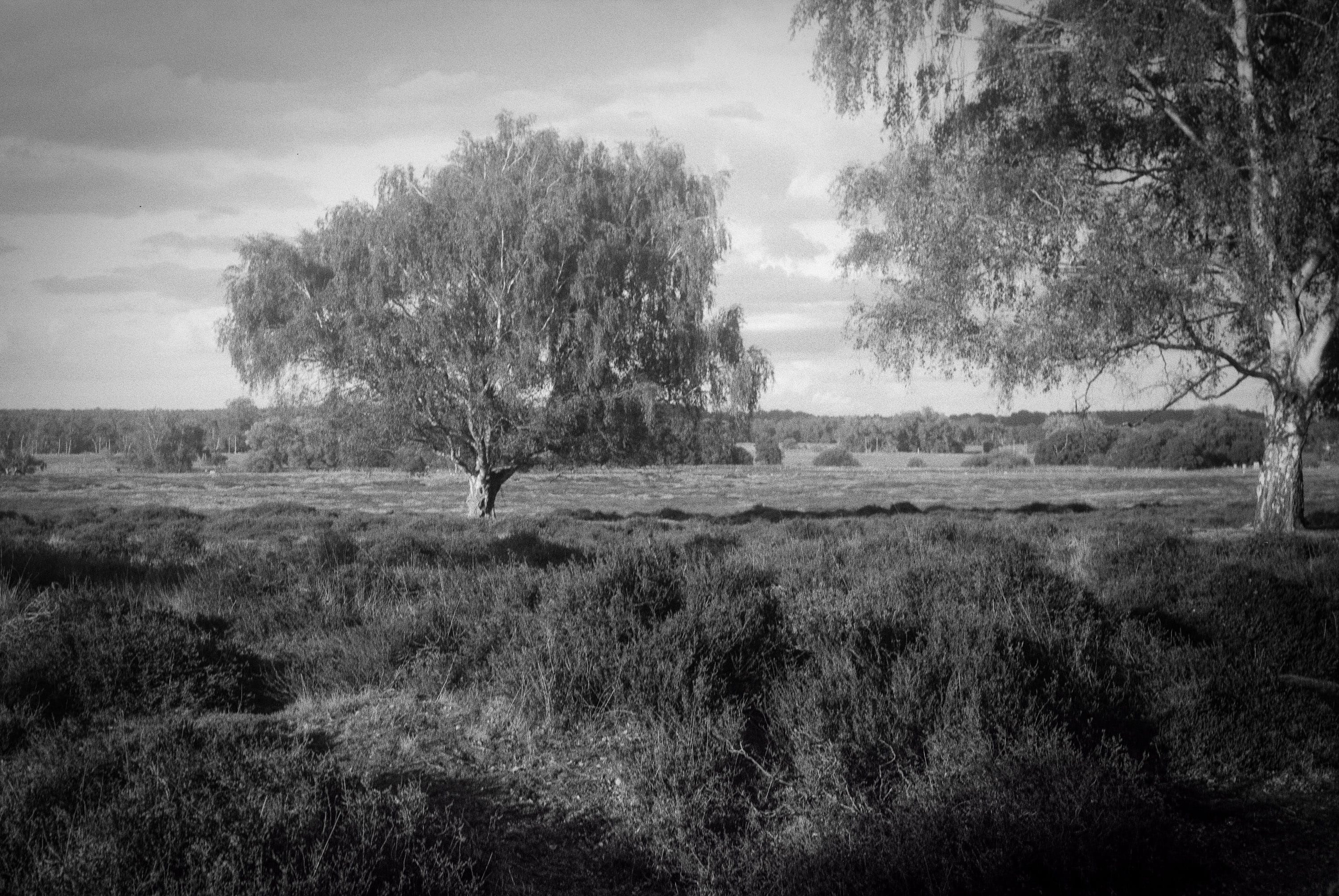 Trying a 1955 Baldalux Folder Camera for Film Photography. Hedley Wright Photography | East Anglia Sport, Street, Wildlife, Landscape & Astrophotography
