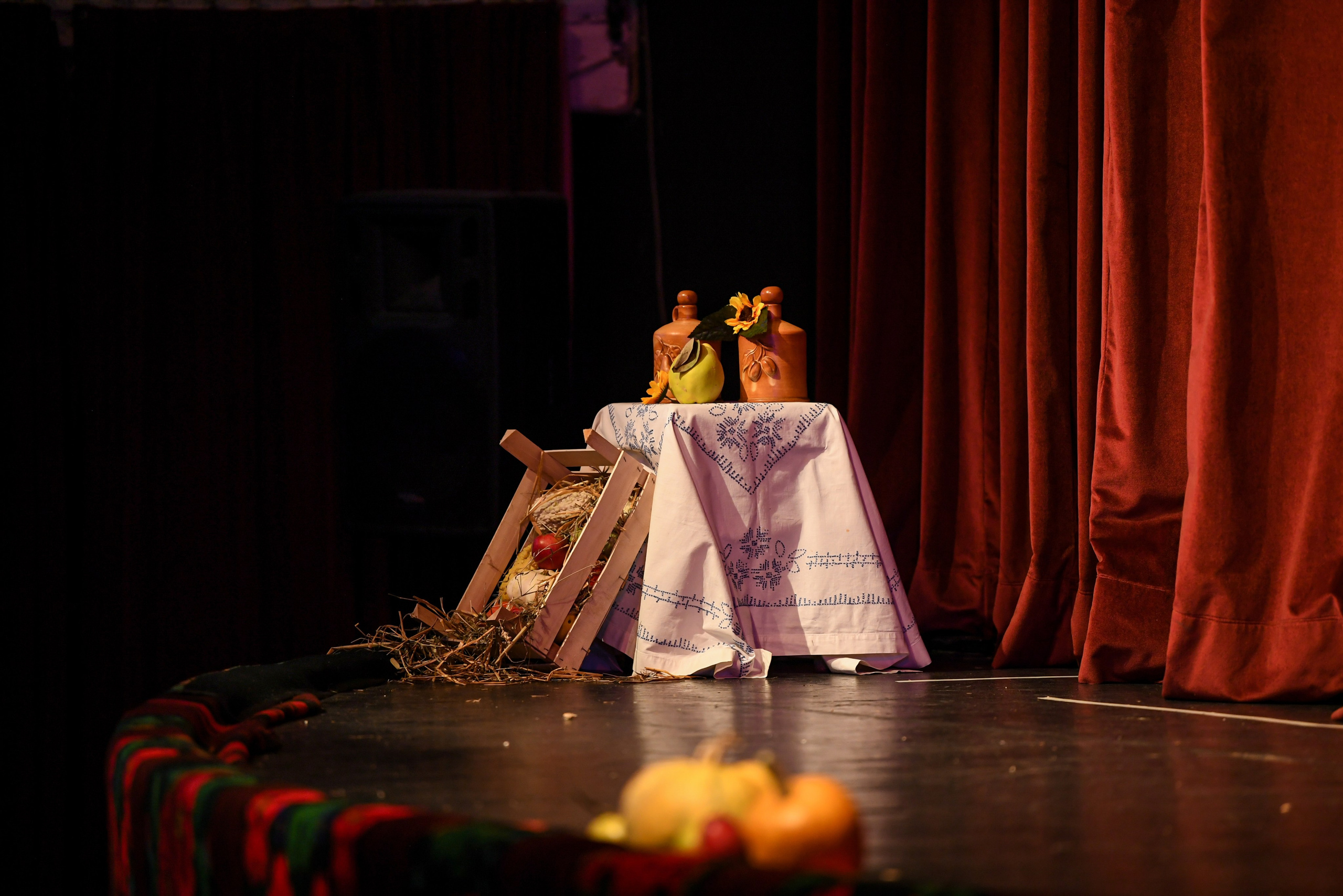 Godišnji koncert — KUD Ljubiša Urošević. Foto Simic Jagodina