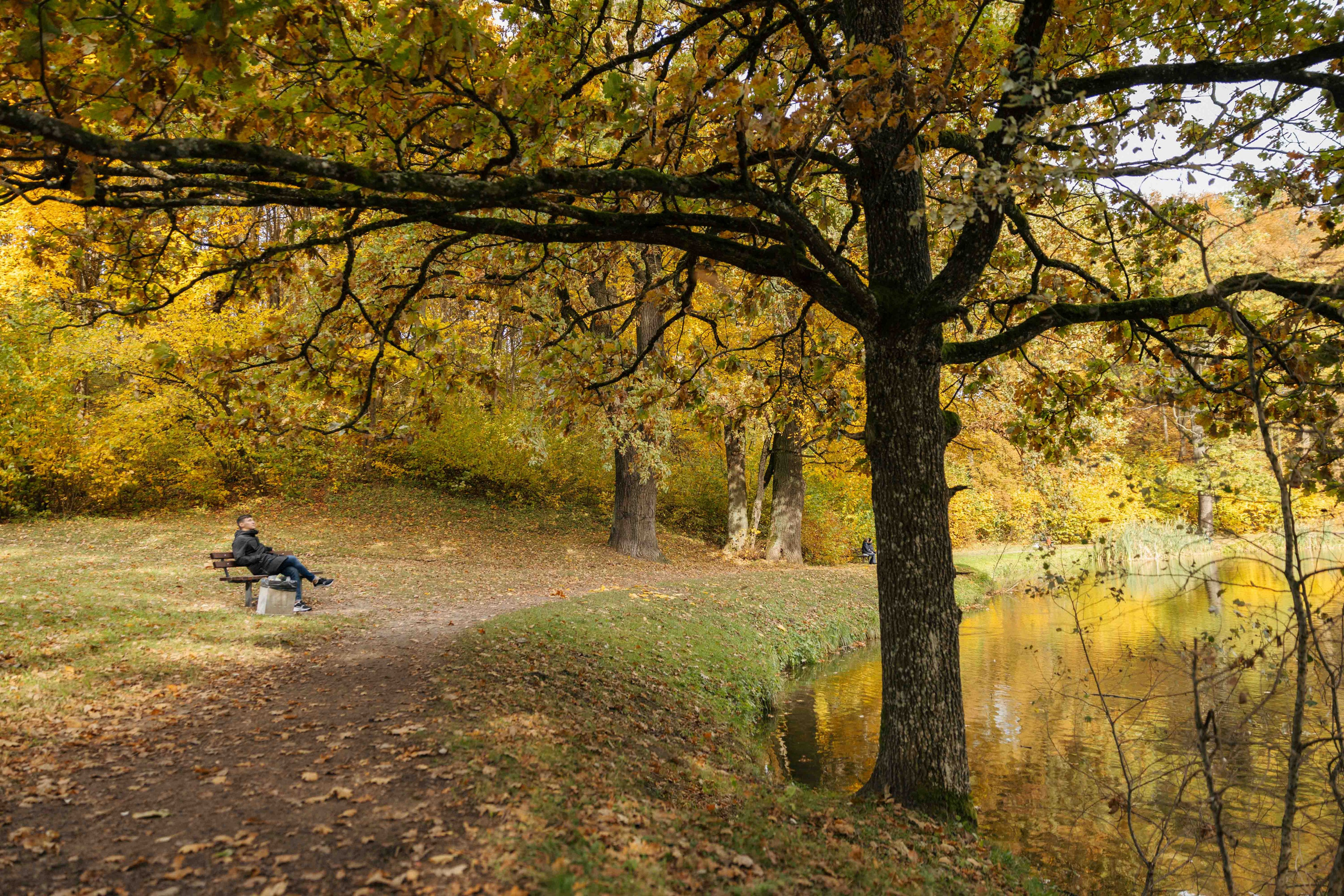 Best Autumn Photoshoot Locations in Vilnius: Top Spots to Capture the Fall Colors. Framed by Evelina | Destination Wedding Photographer from Lithuania | Europe