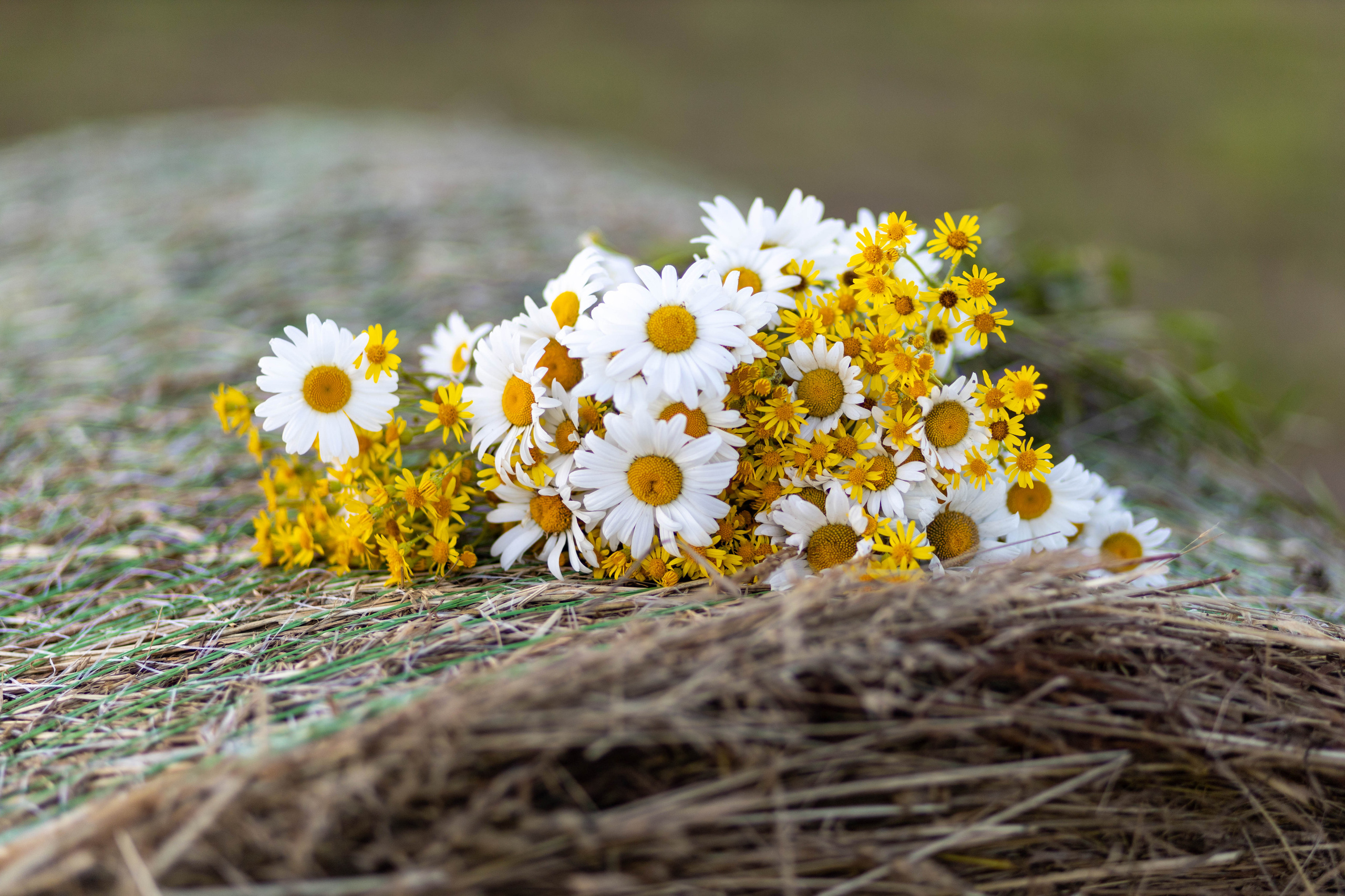 Светлана. Фотограф в Краславе