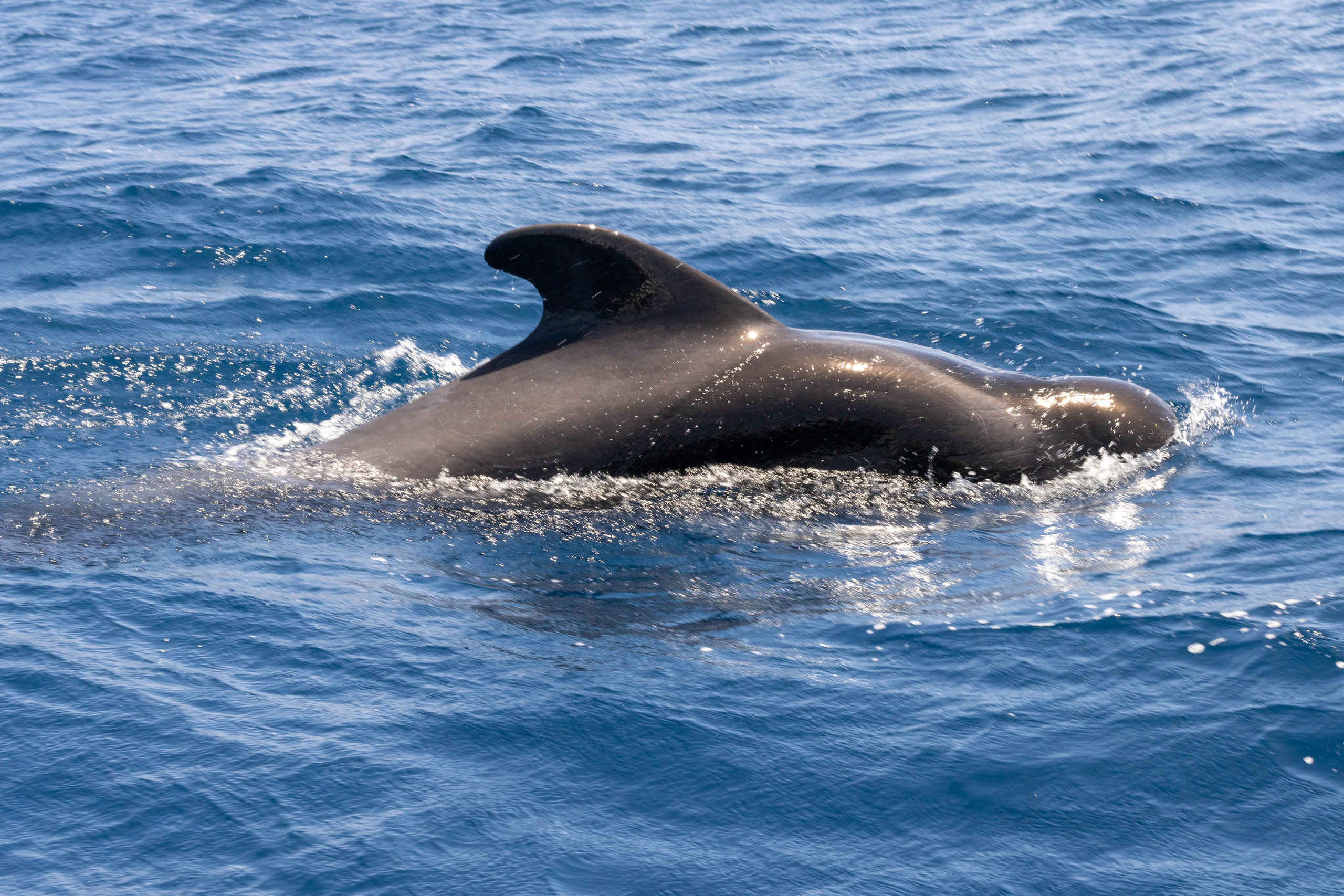 Фотограф в Краславе