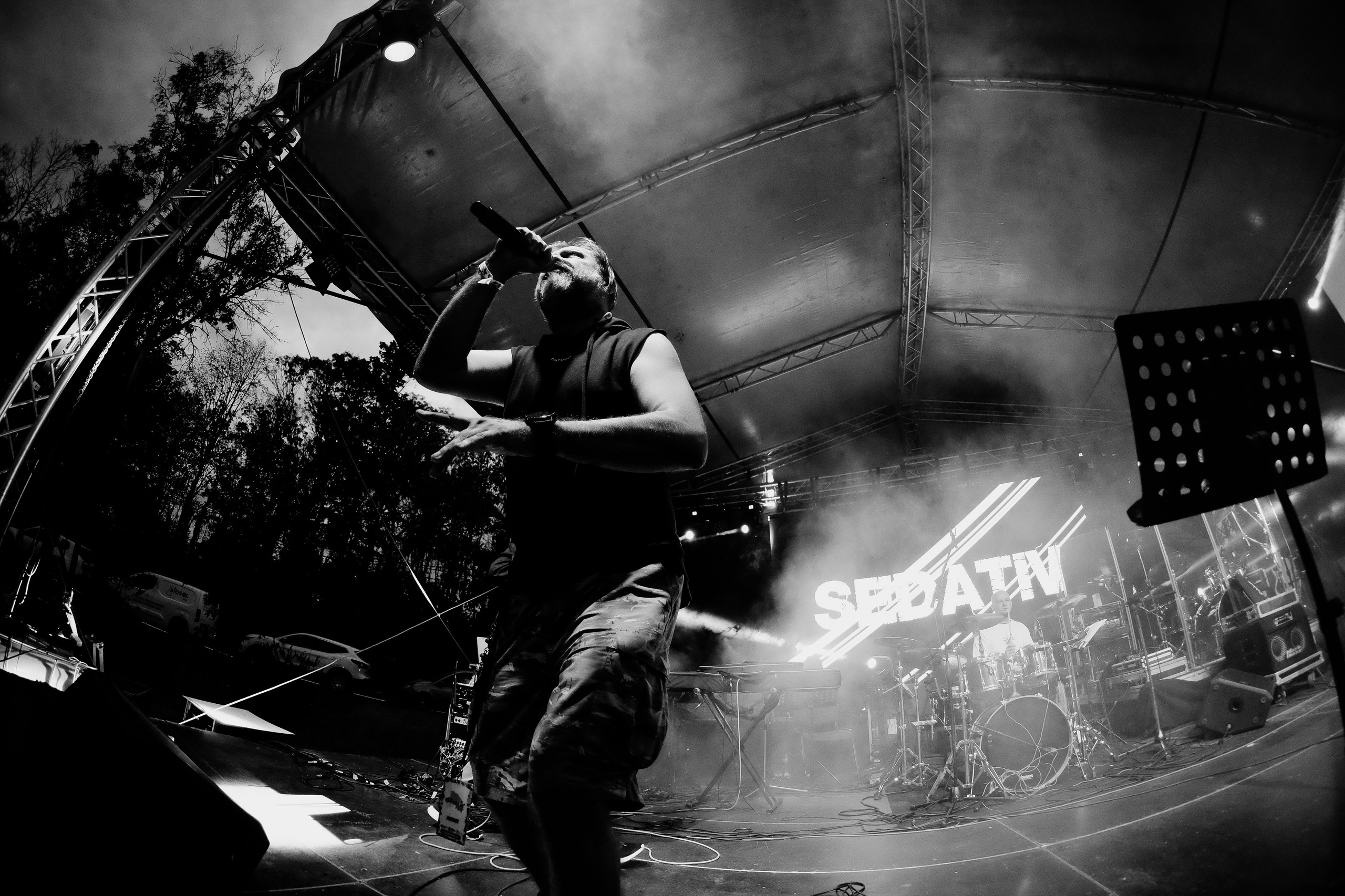Sedativ. Hornetart