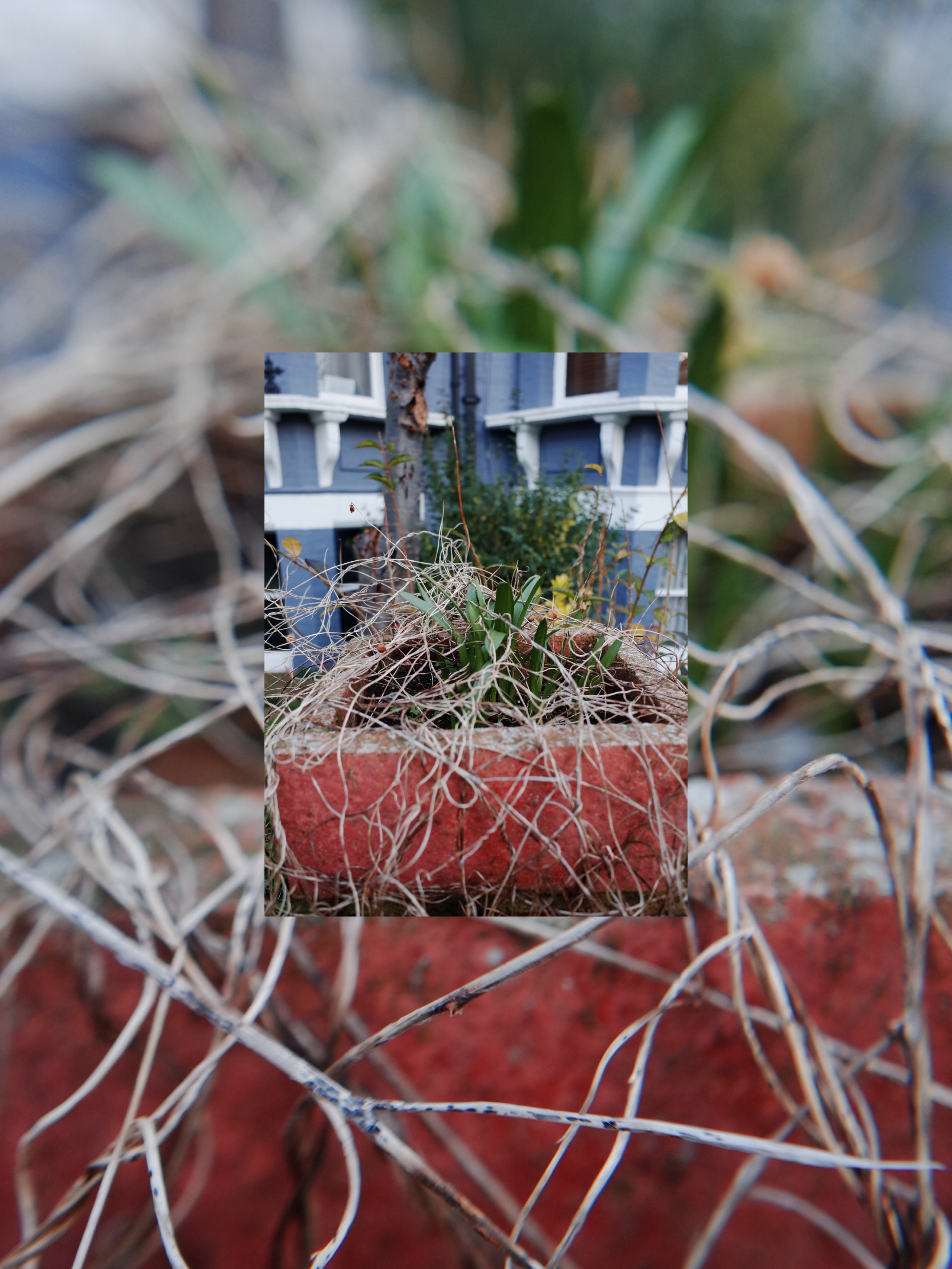 Victoria Dini. Art photography in London / Folkestone, UK