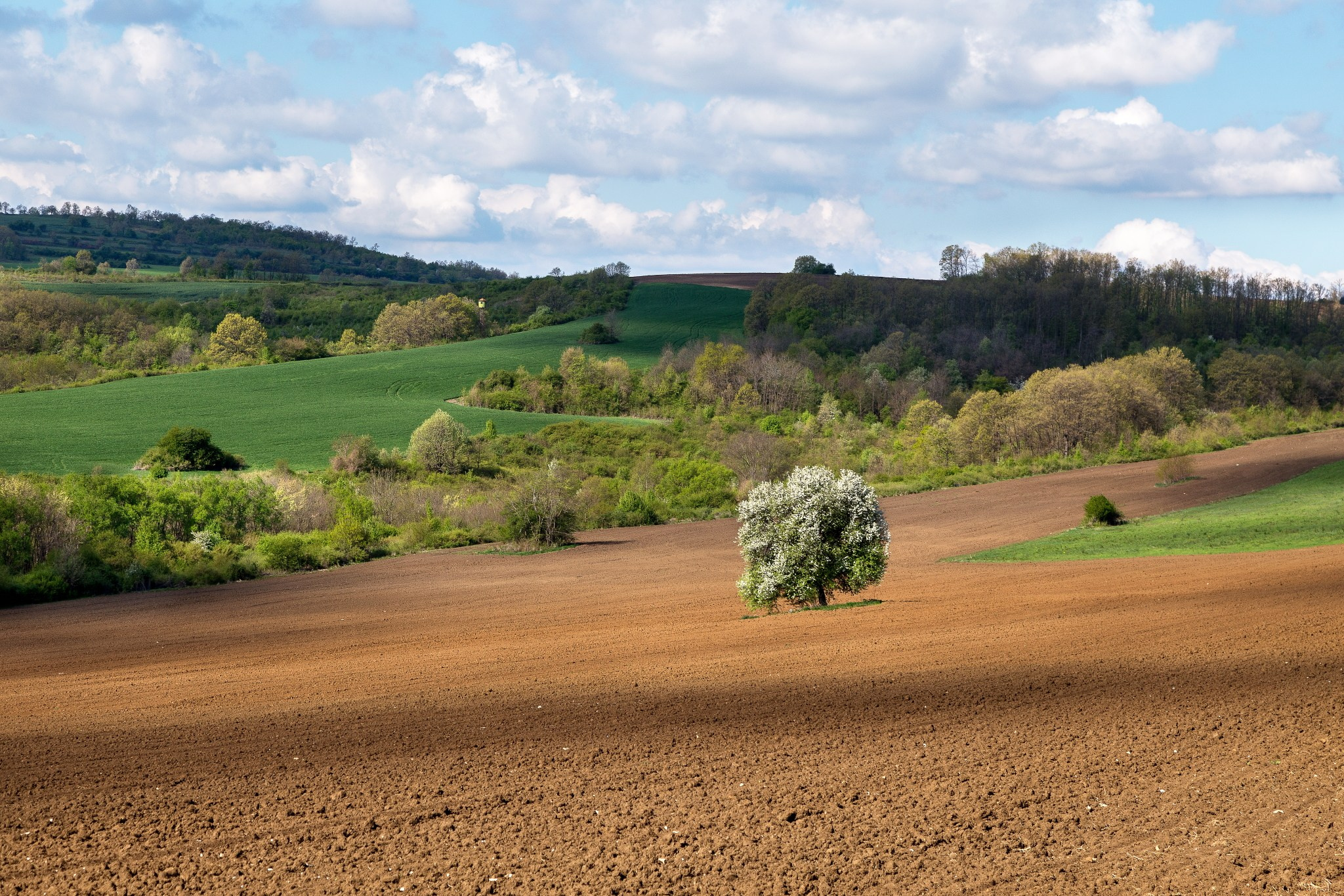 Планини. Александър Сандев - website