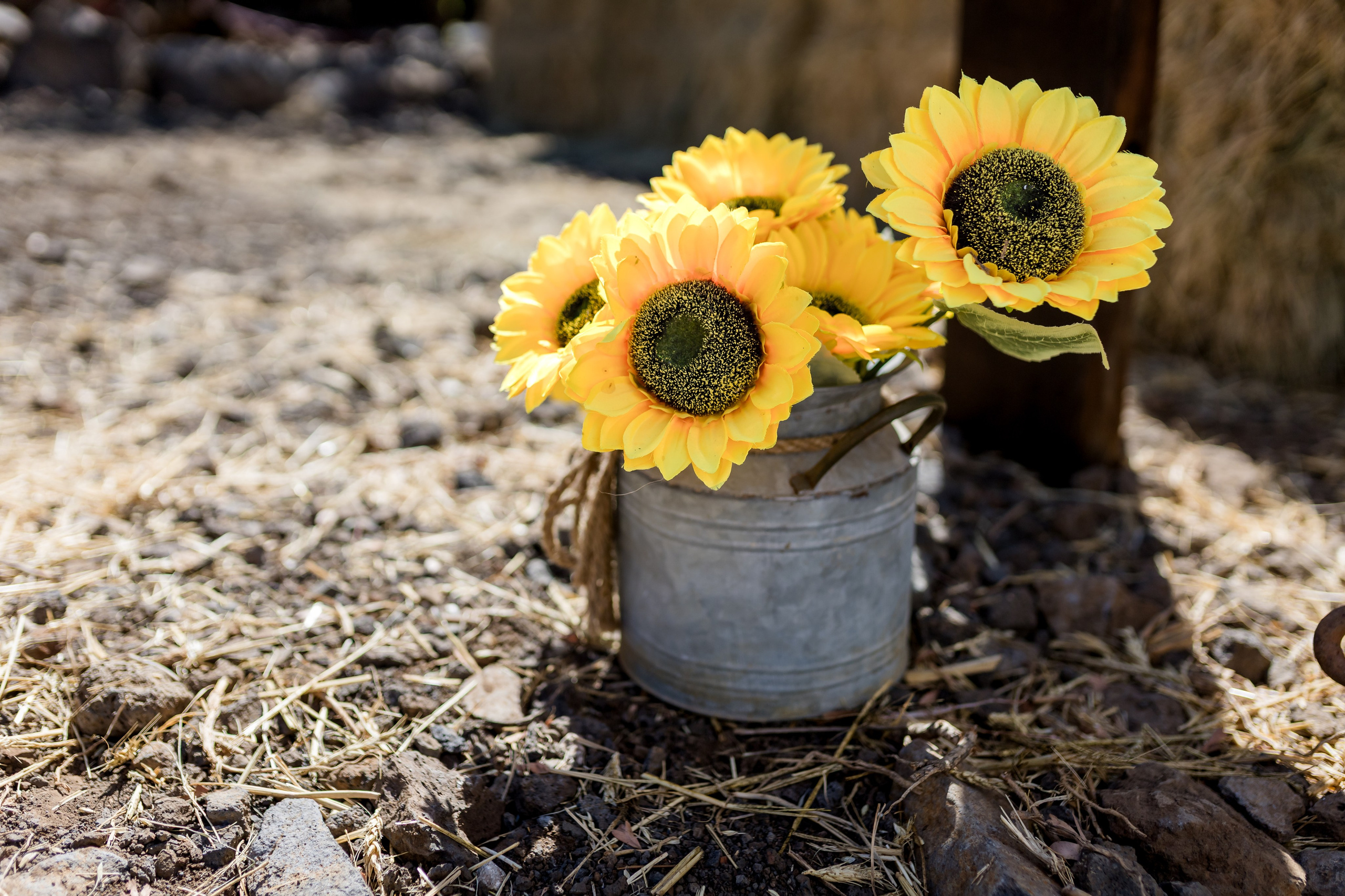 Eden & Raz. AMIR BUCHNIK PHOTOGRAPHER