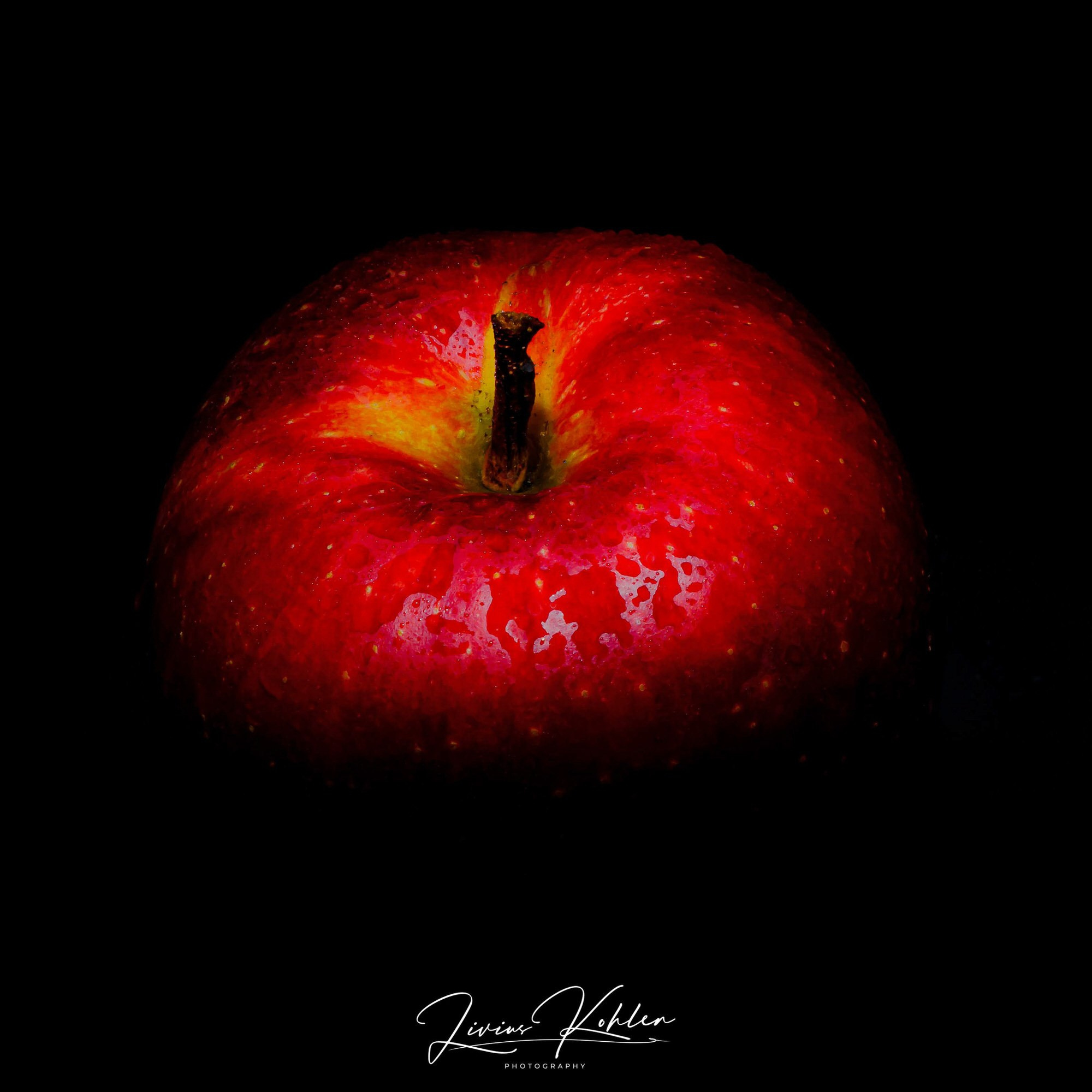 Hobby Bilder. FOTO KREATIV