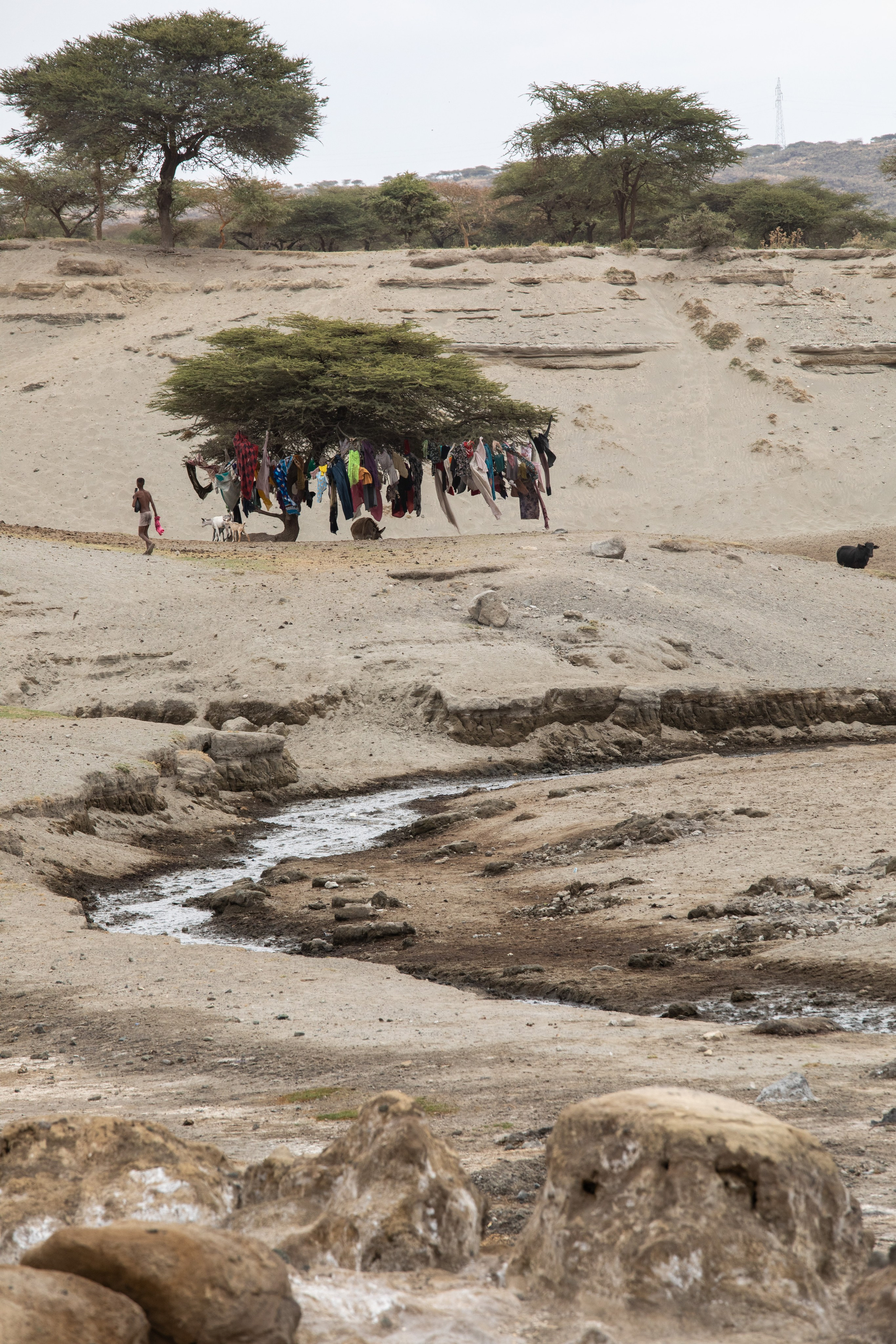 Abijatta Shalla National Park, Ethiopia. Documentary, lifestile photographer in Morocco Marina Chaikovskaia