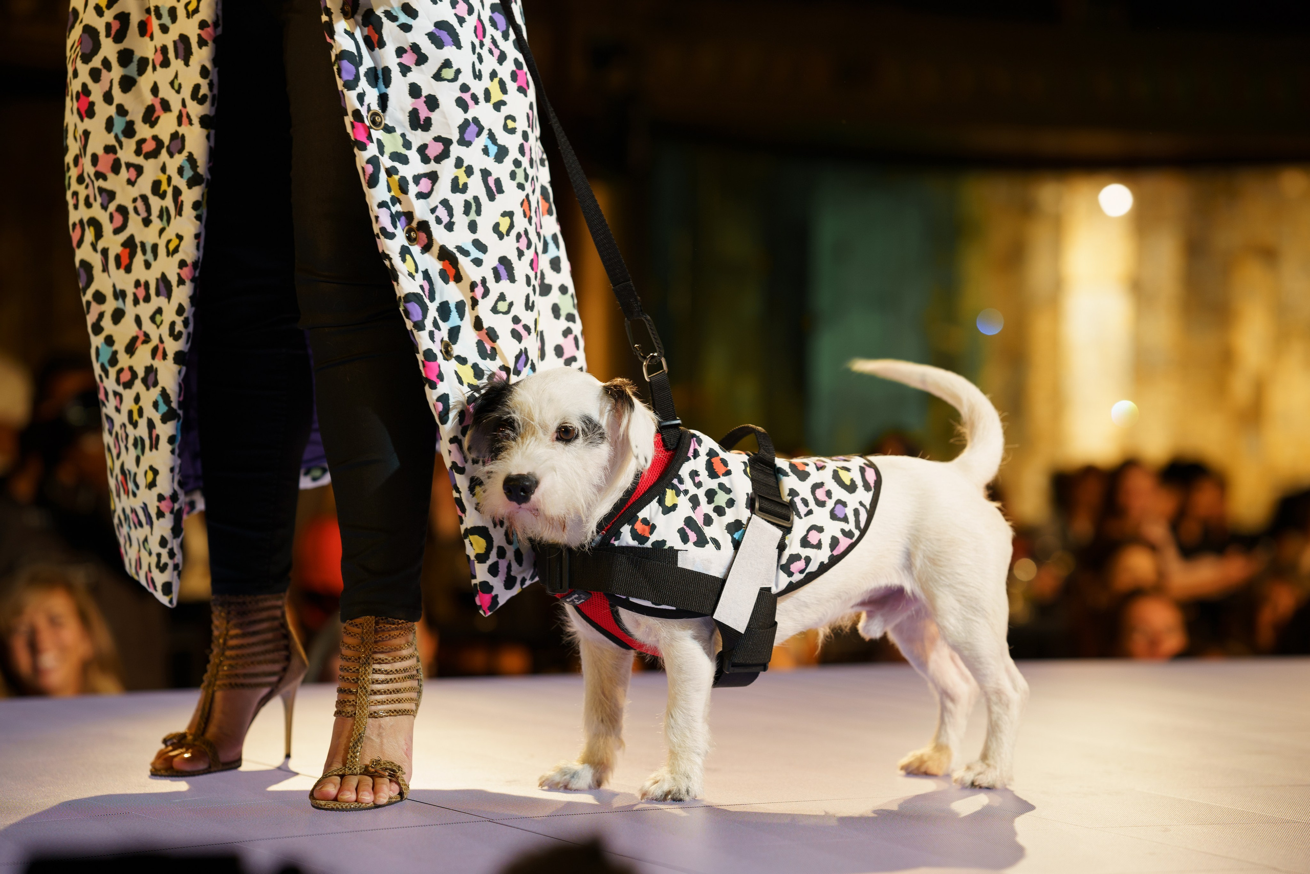 New York Fashion Week. New York + travel photographer