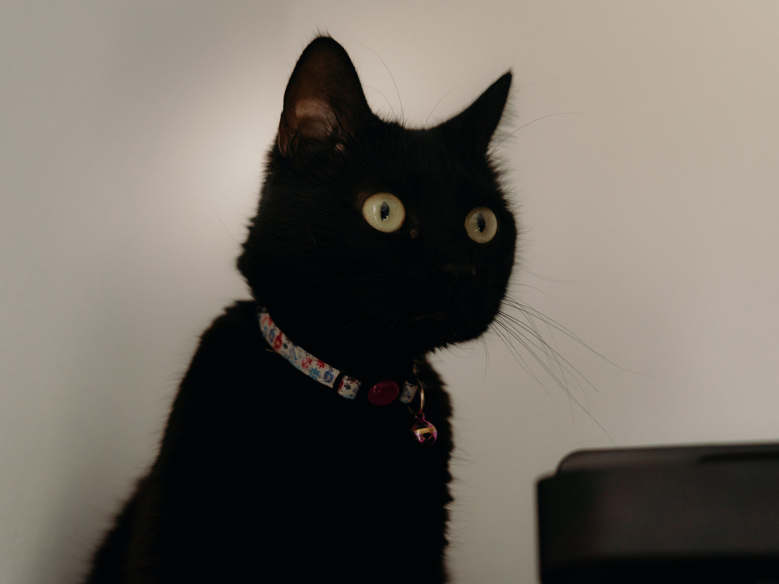 Andreea & Emanuel. STORYCATCHERS