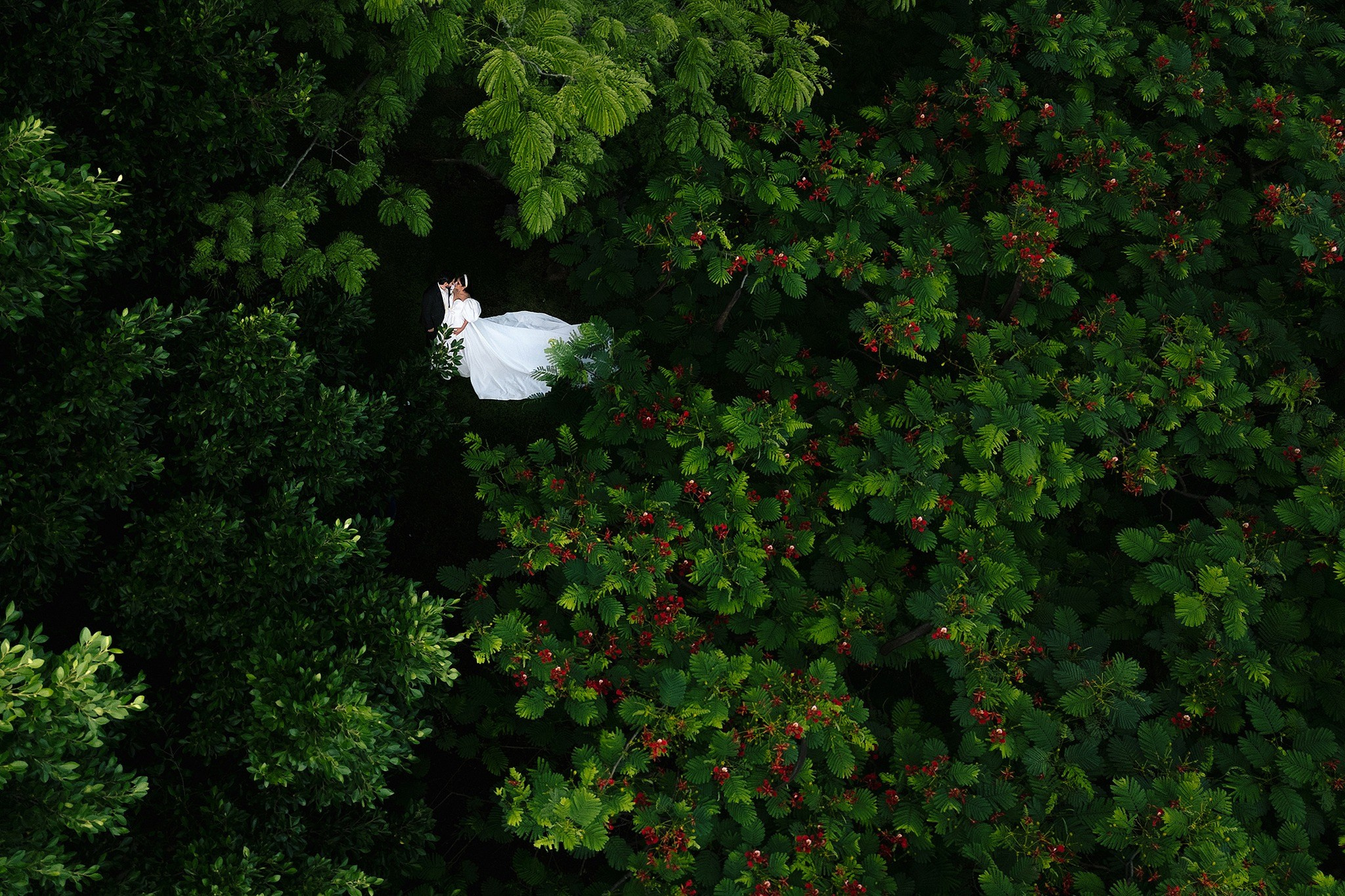 Jorge Romero Fotógrafo de bodas