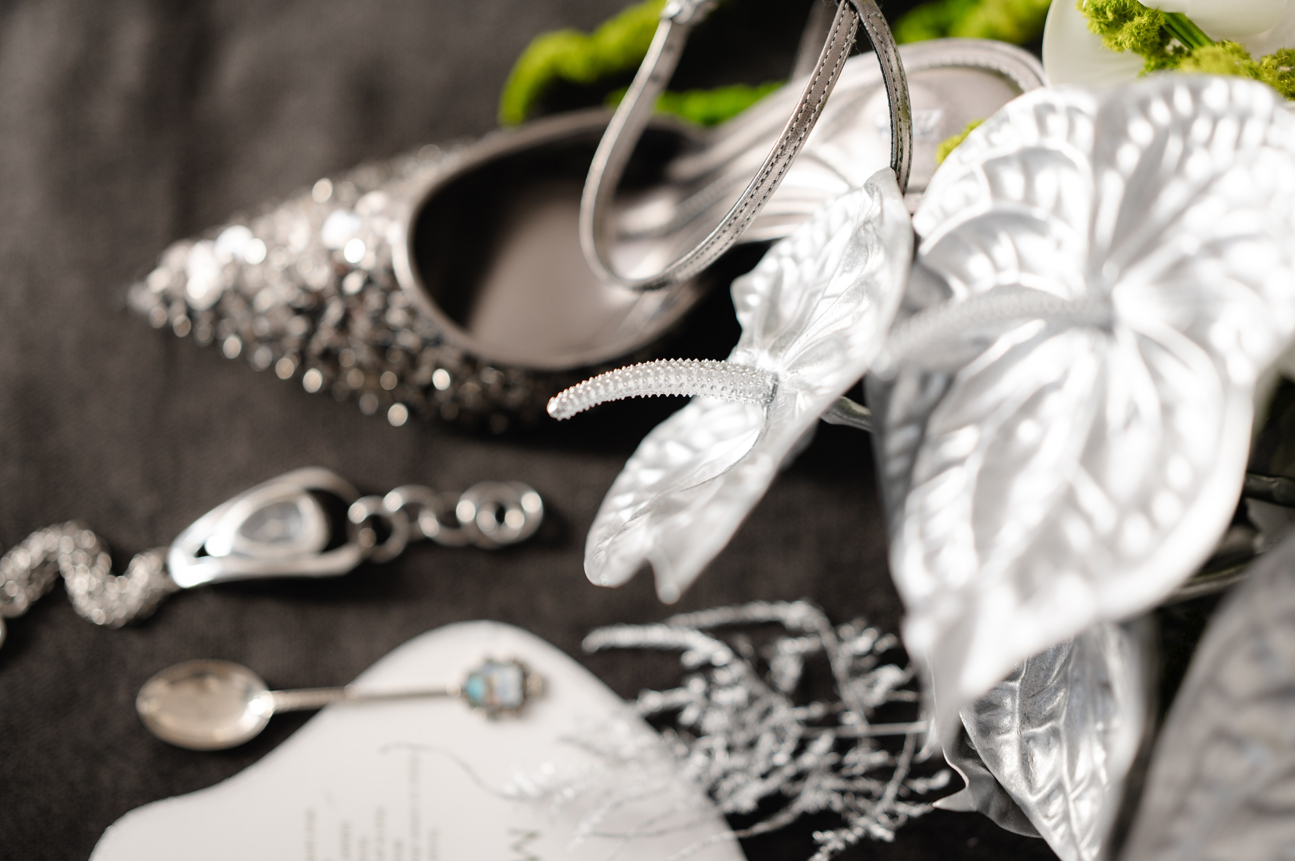 Bride with a concept silver Chrome. Alexandra Hanu Photographer