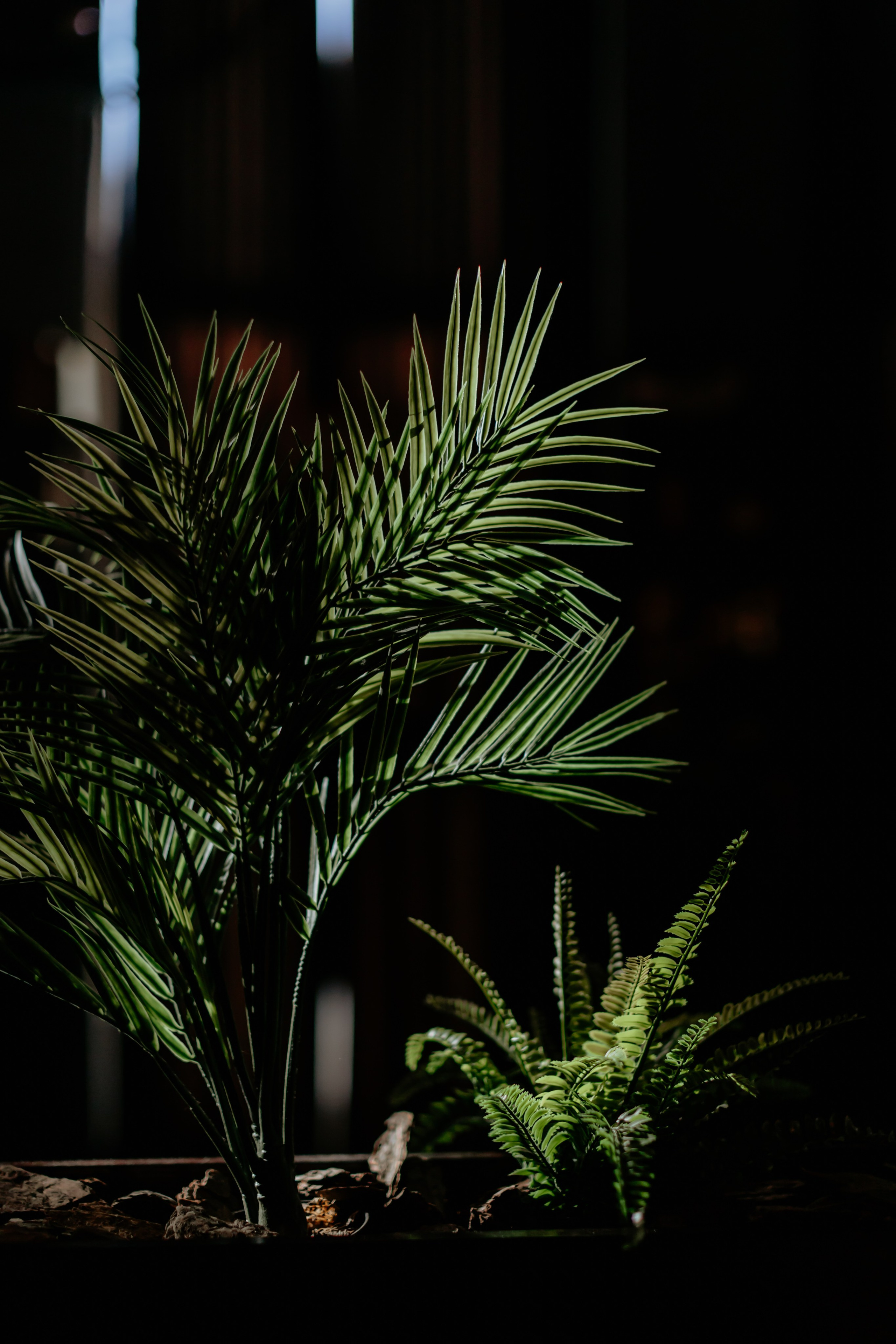 D&V Wedding. Family and children photographer in Belgrade Milja Ciric